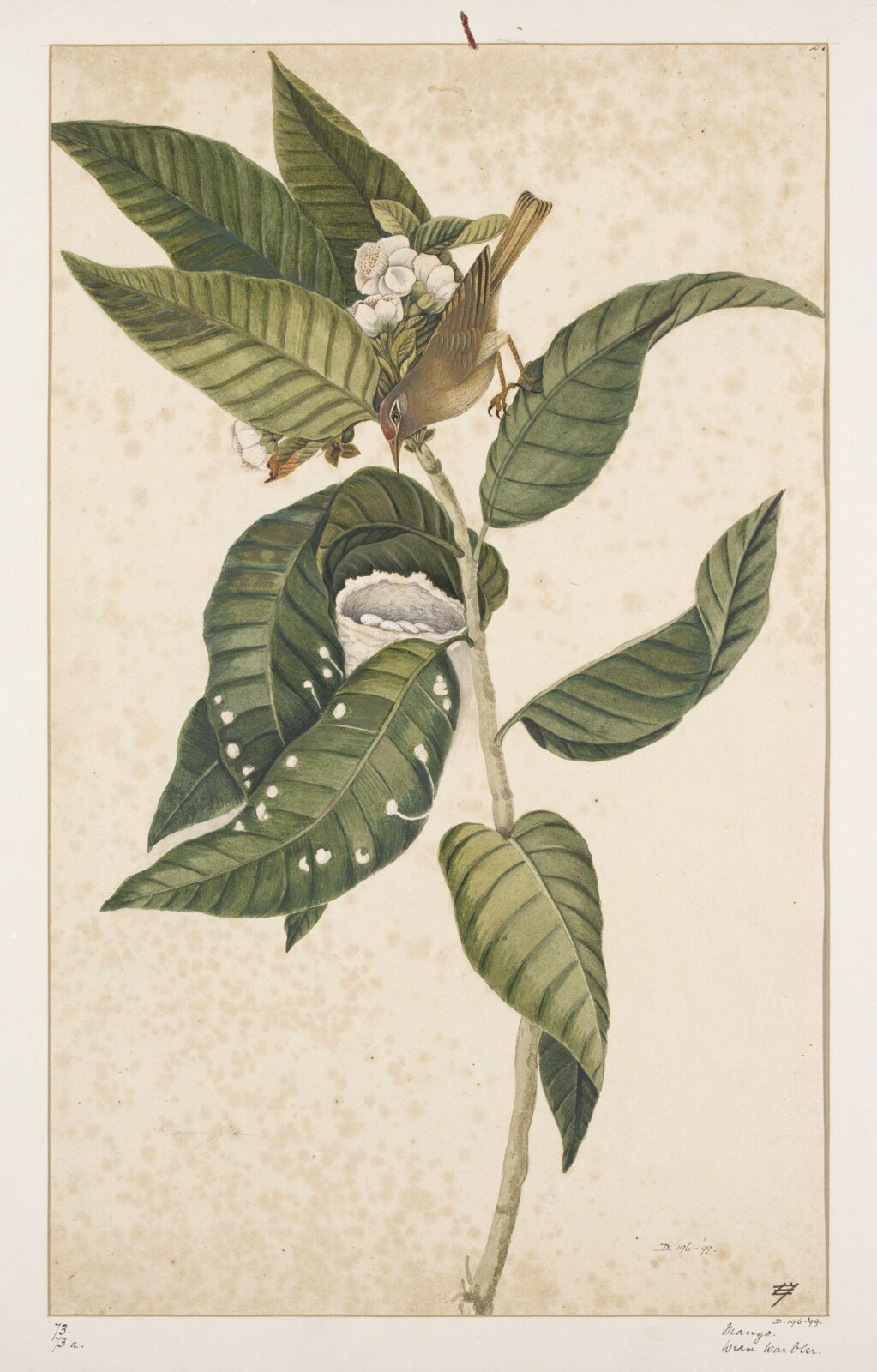Drawing, early 19th century