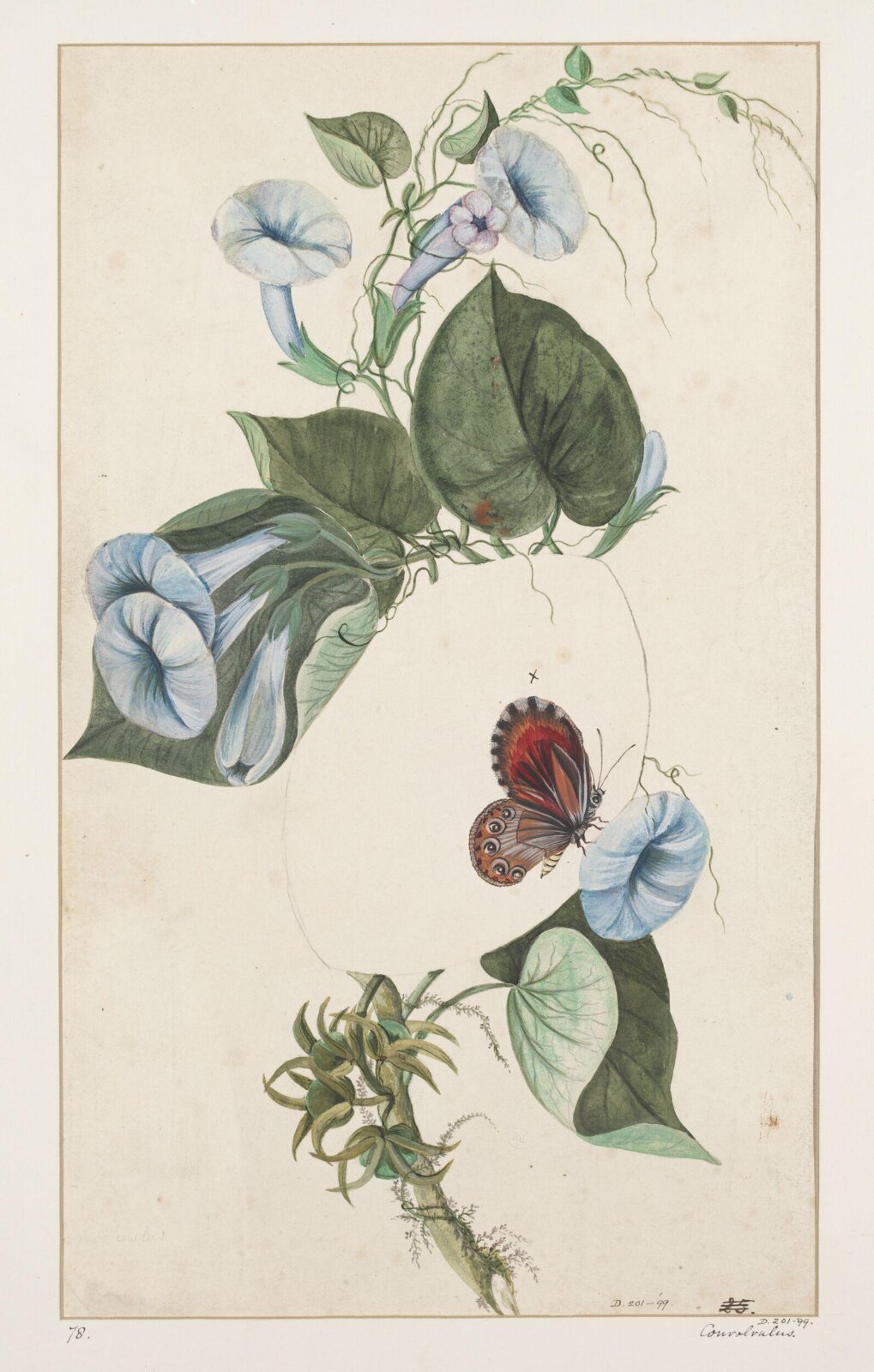 Drawing, early 19th century