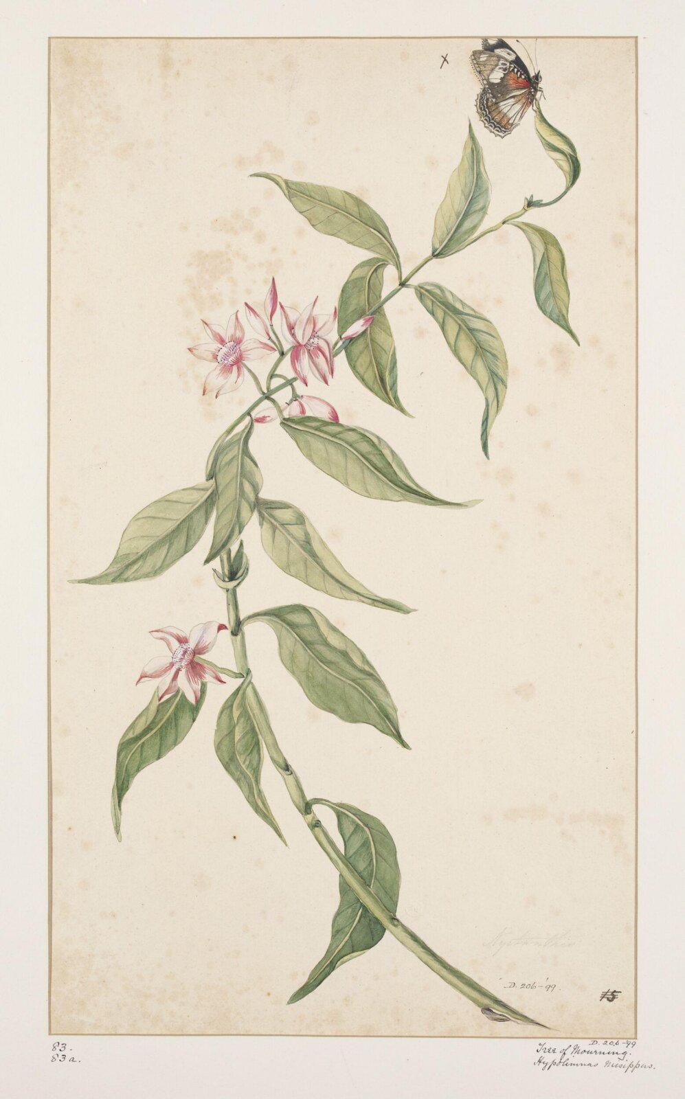Drawing, early 19th century