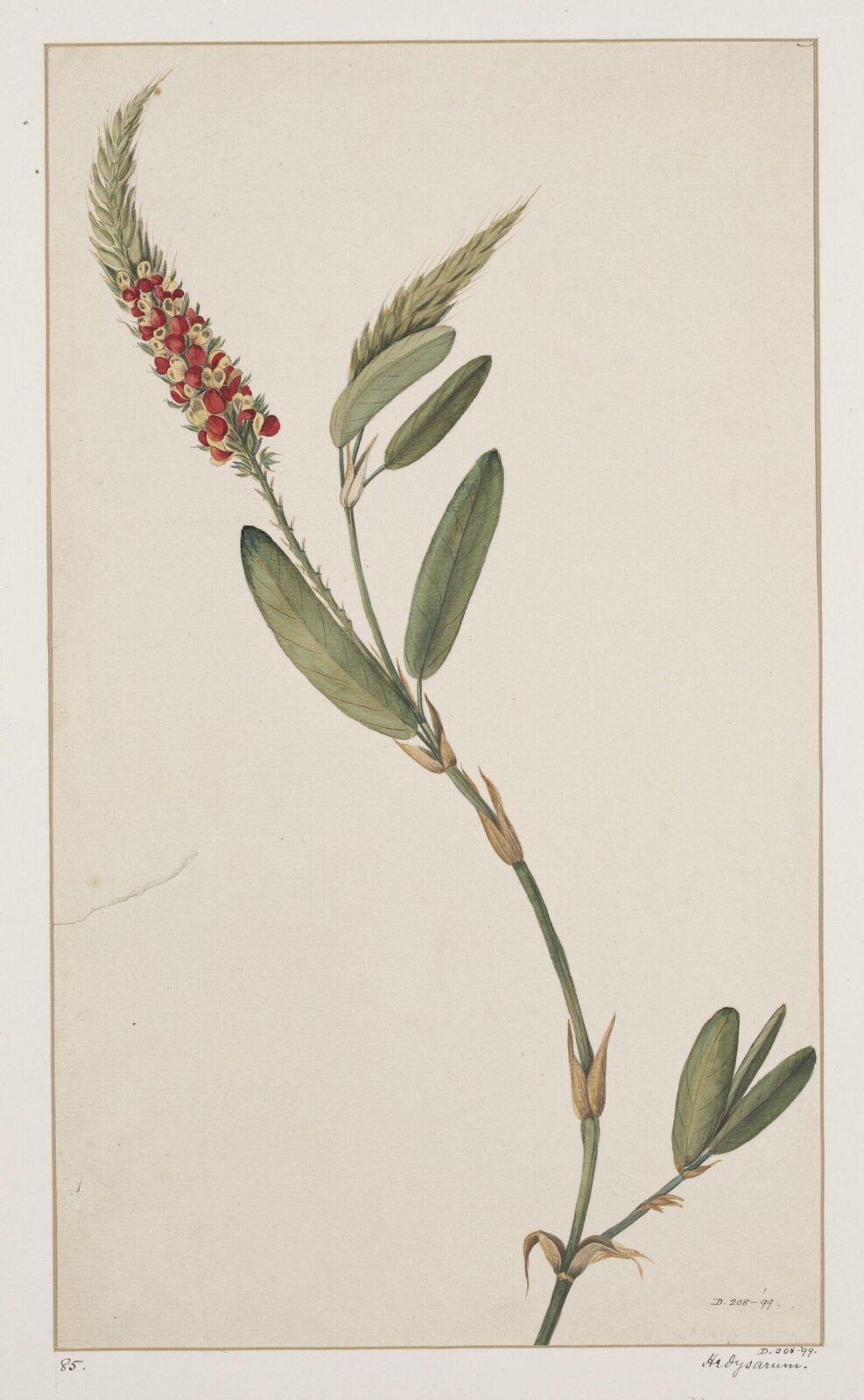 Drawing, early 19th century