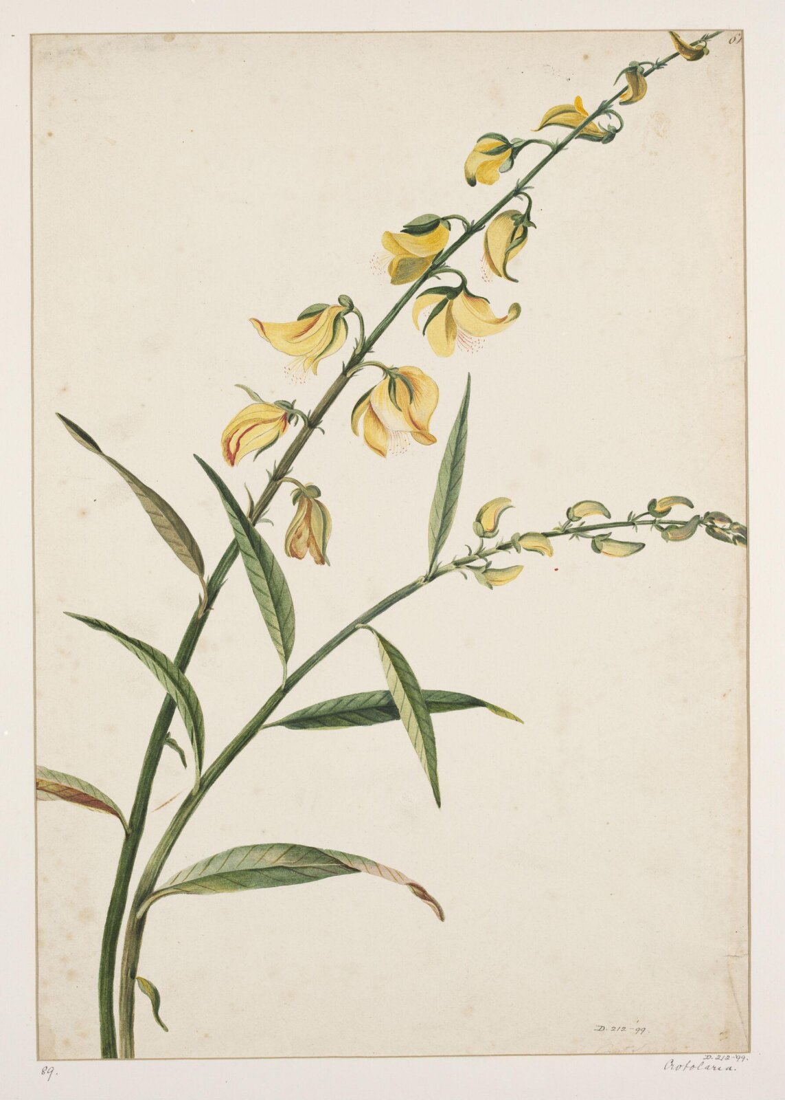 Drawing, early 19th century