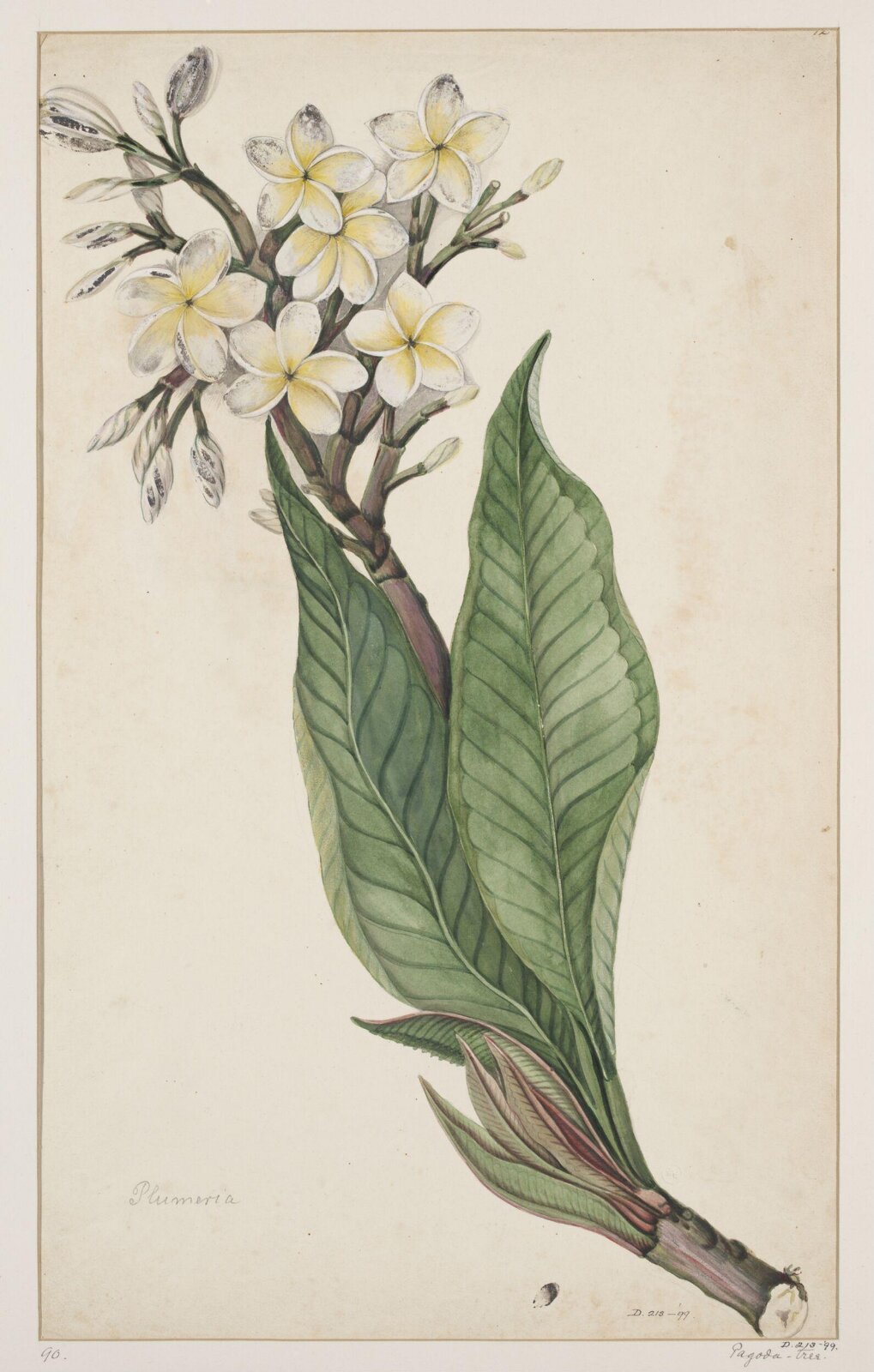 Drawing, early 19th century