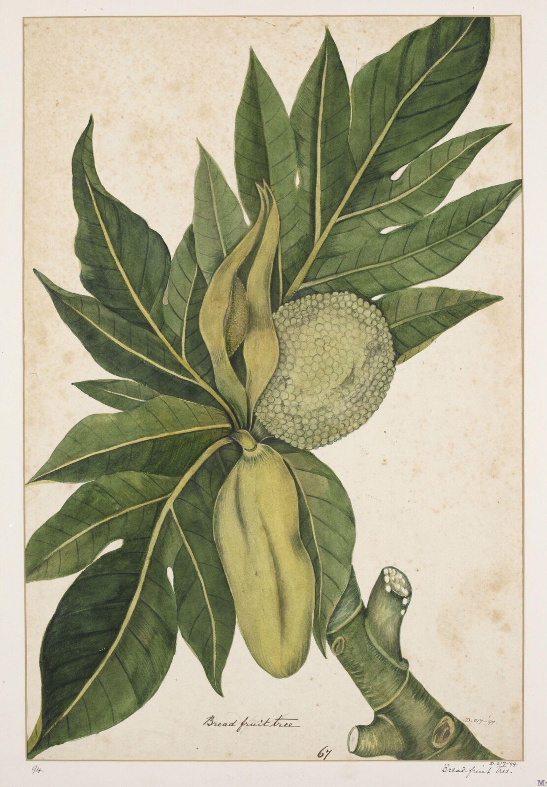 Drawing, early 19th century