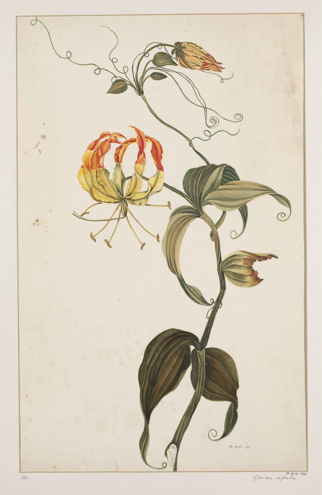 Drawing, early 19th century