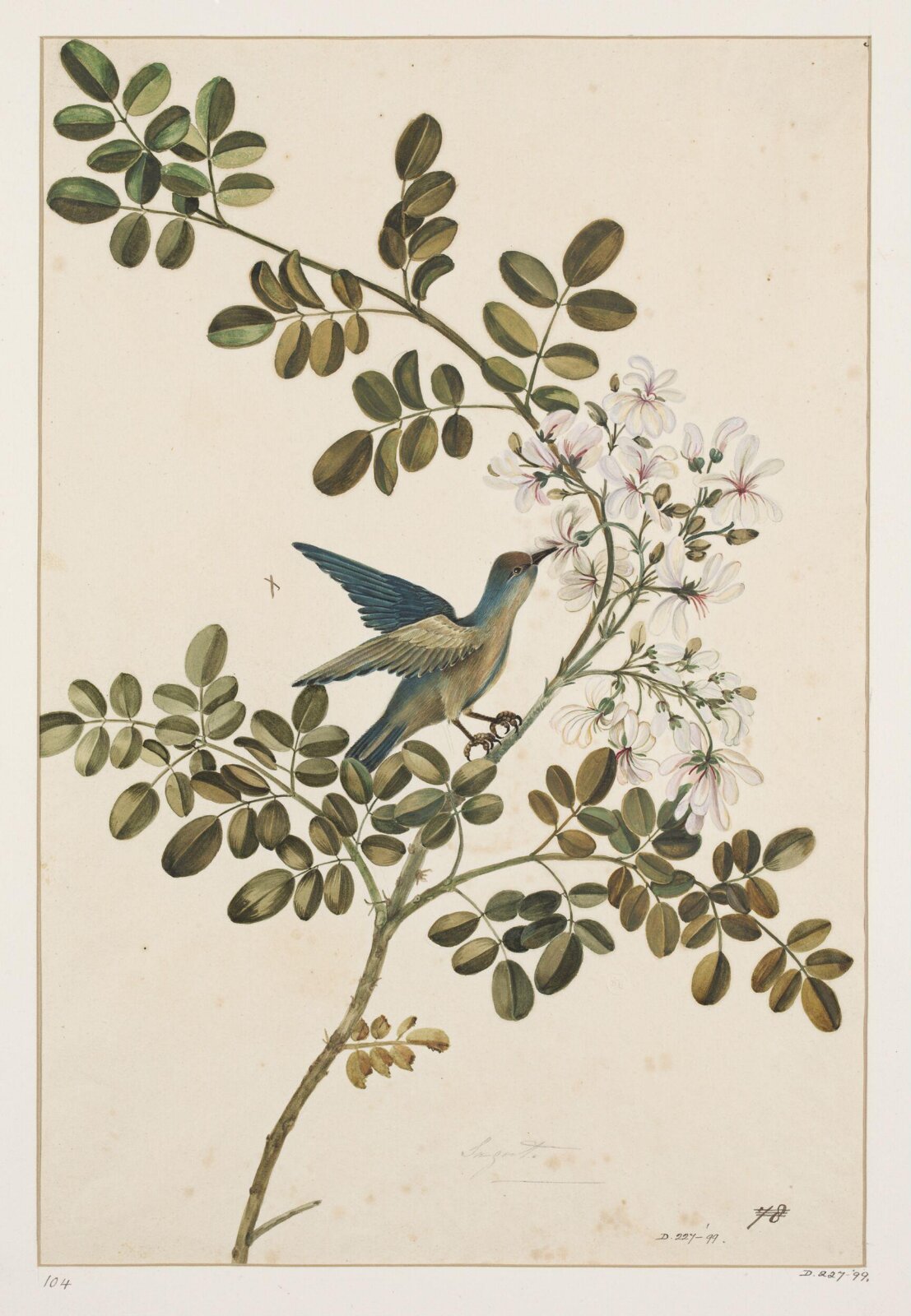 Drawing, early 19th century