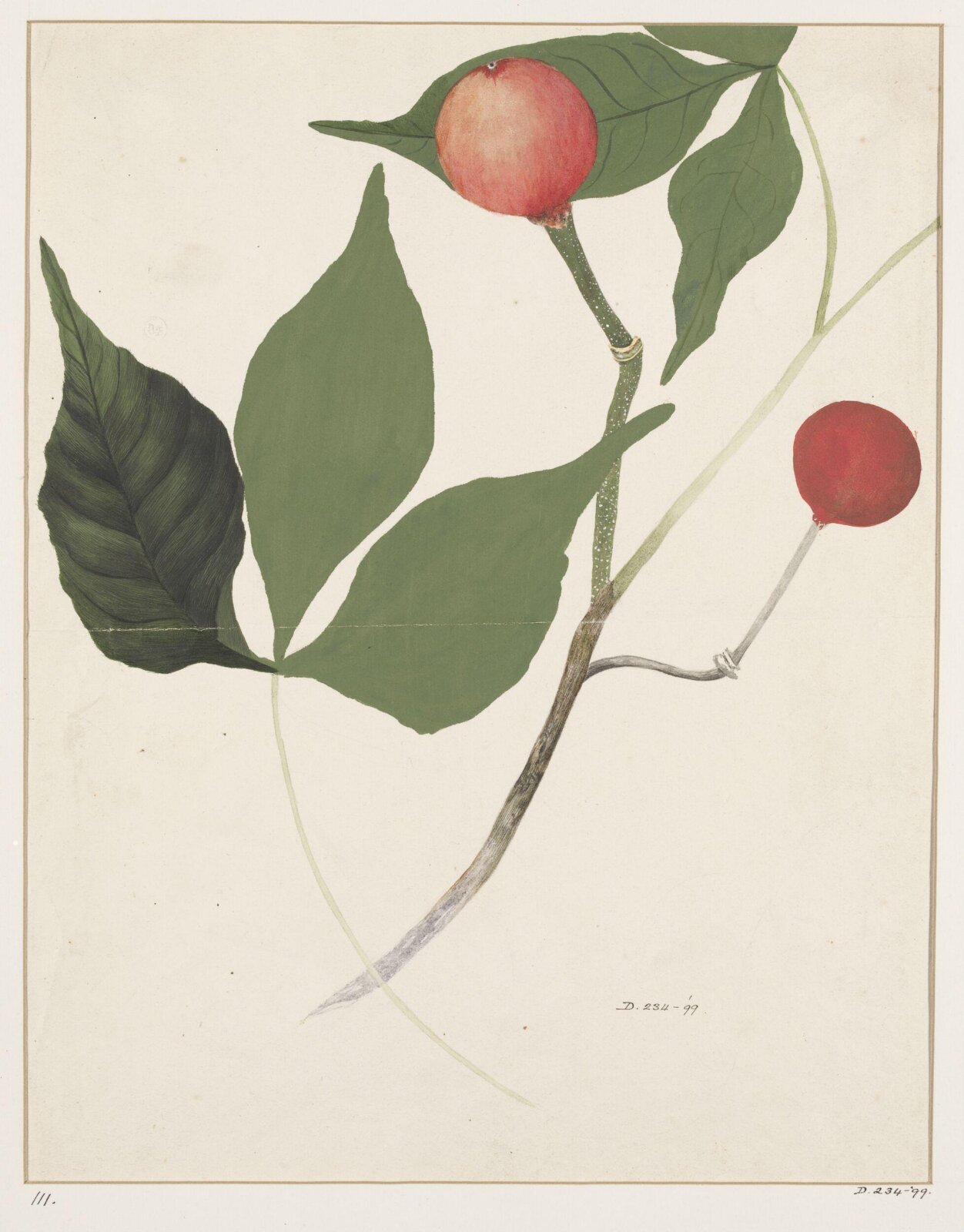 Drawing, early 19th century