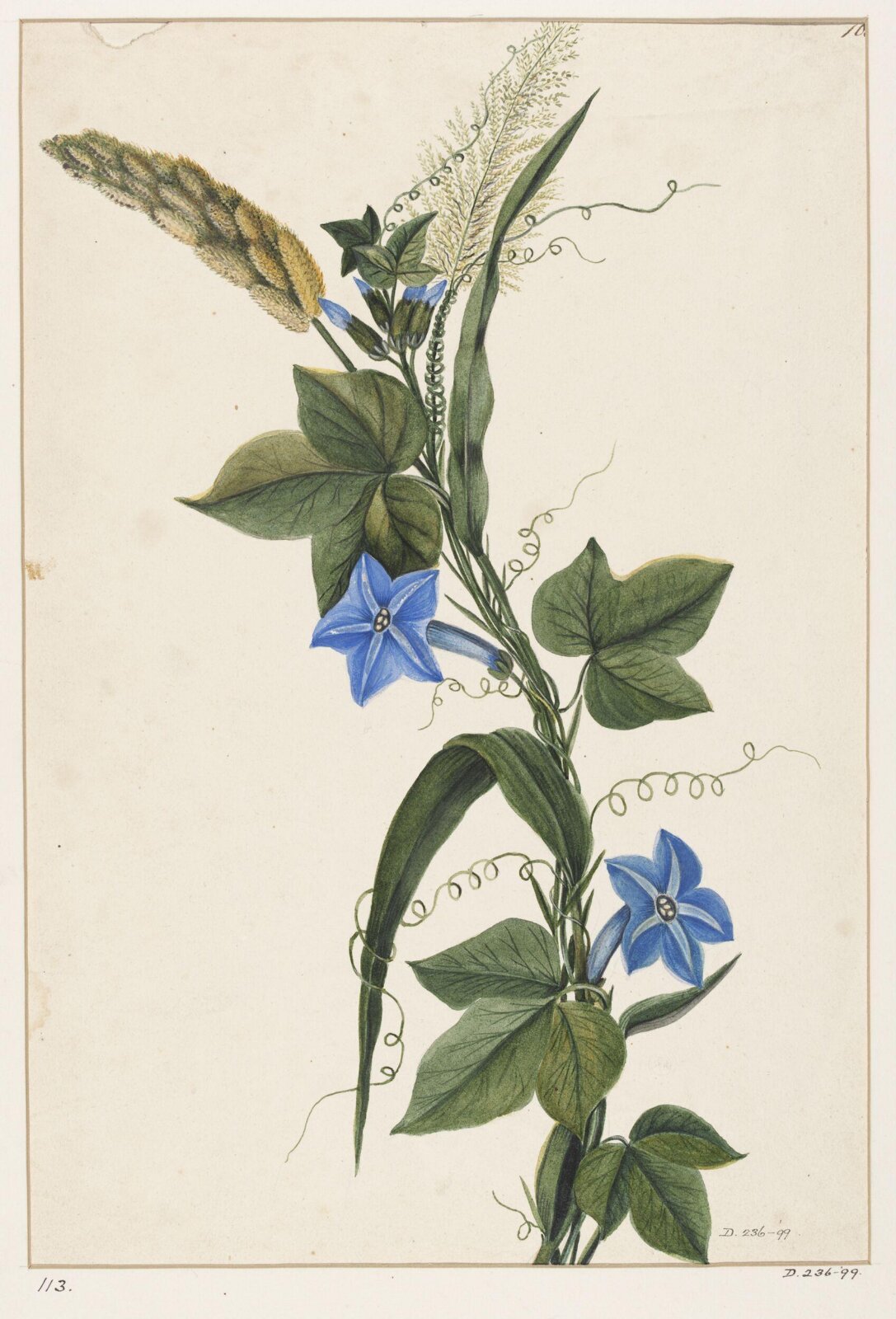 Drawing, early 19th century