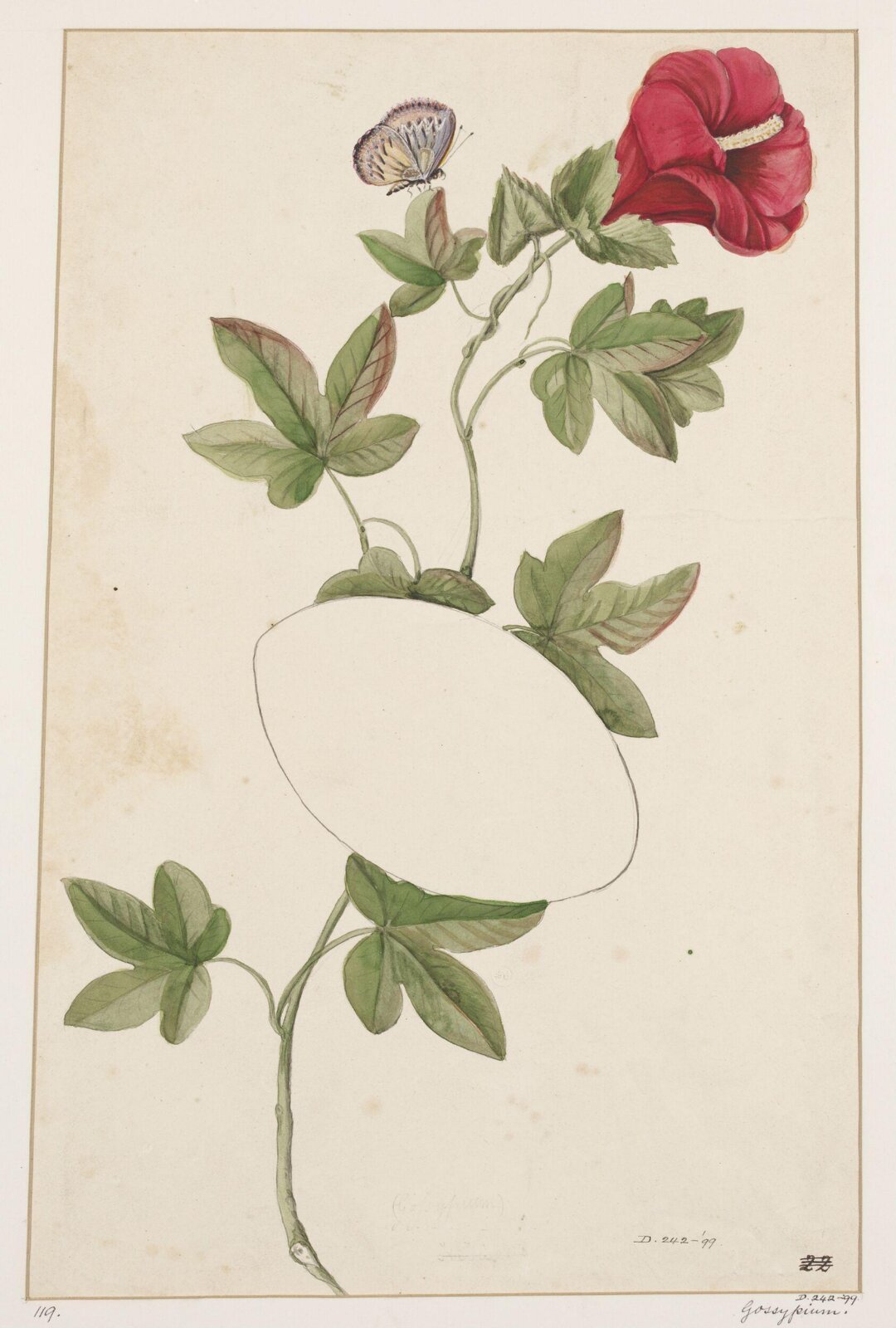 Drawing, early 19th century