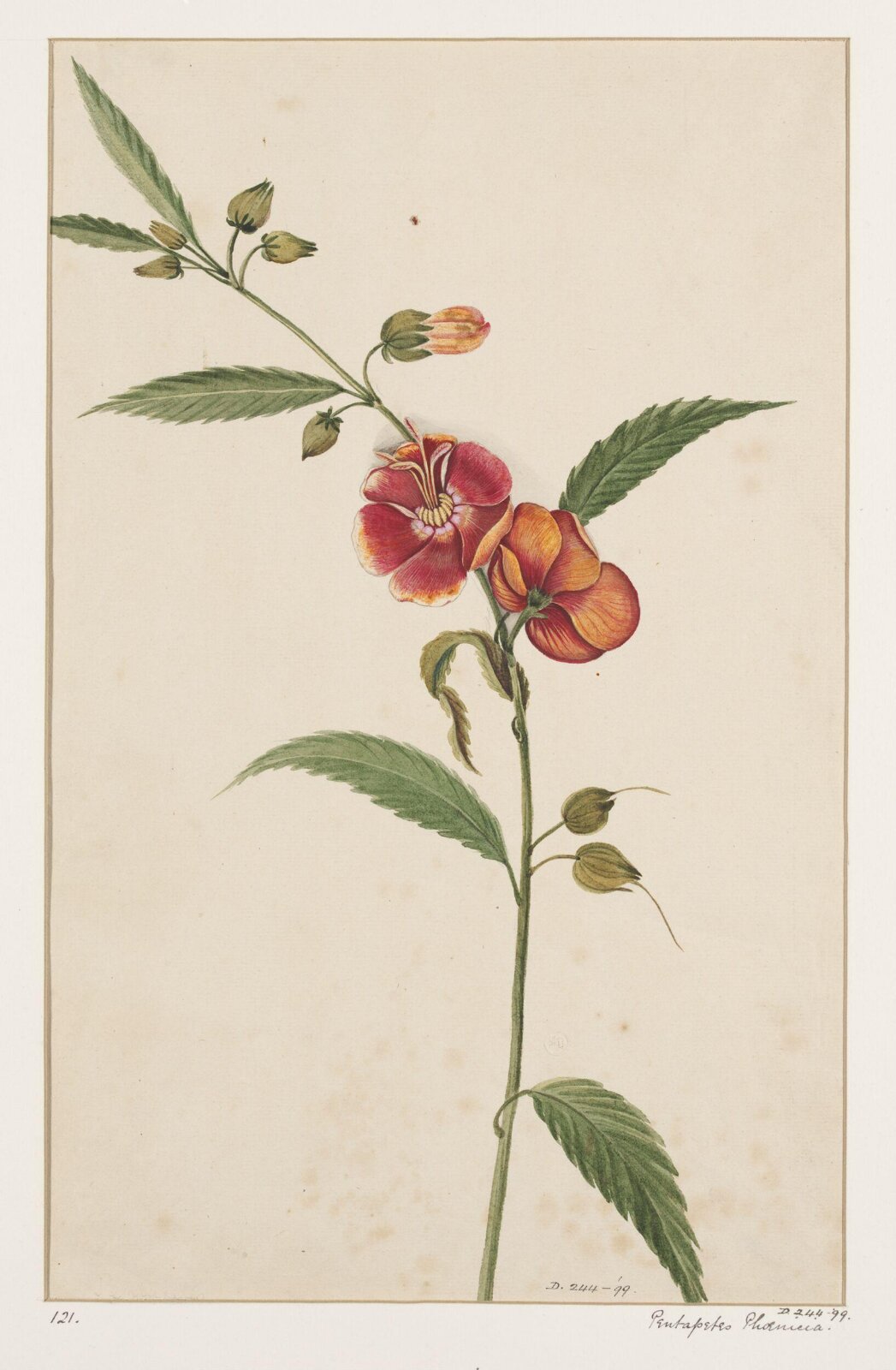 Drawing, early 19th century
