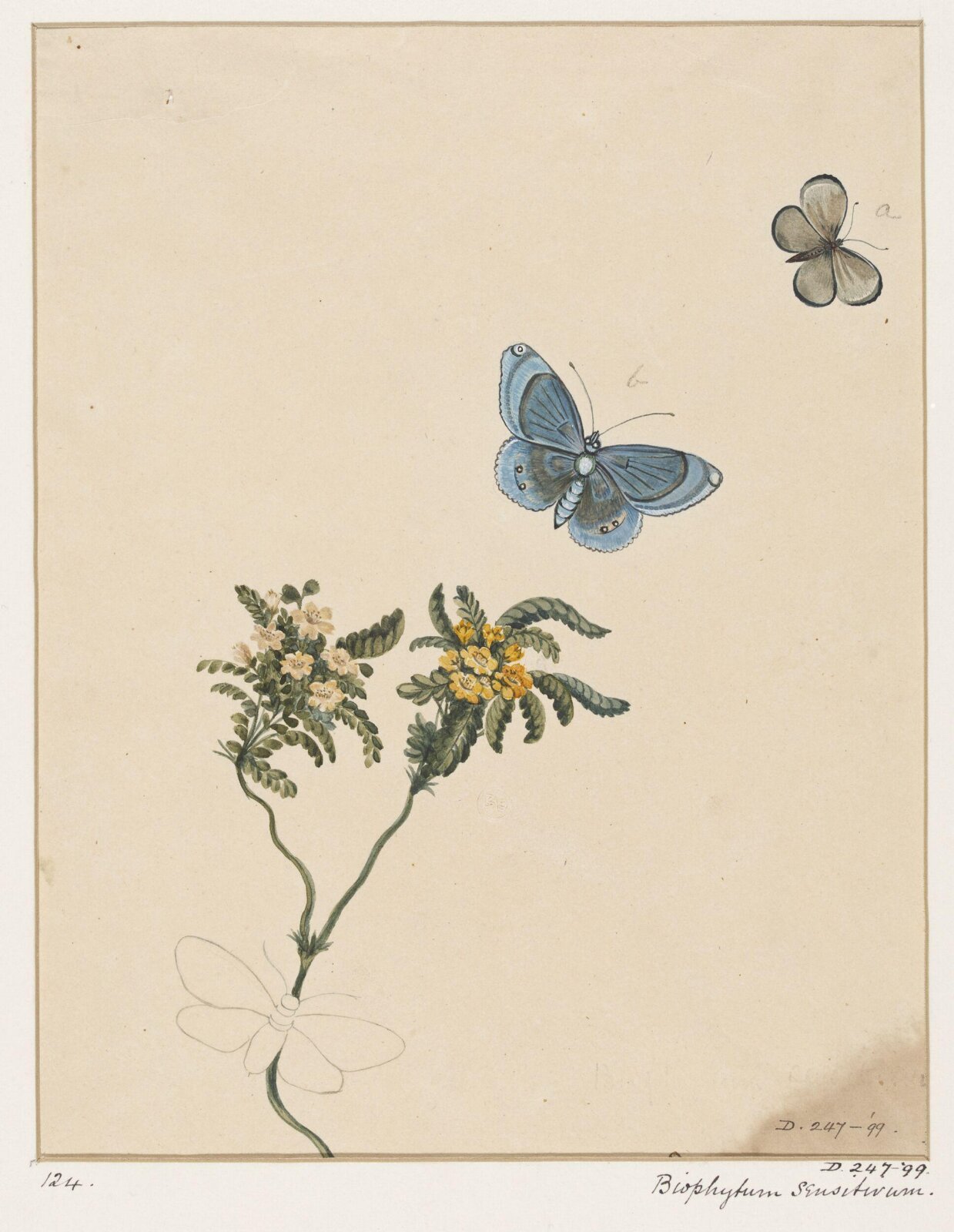 Drawing, early 19th century