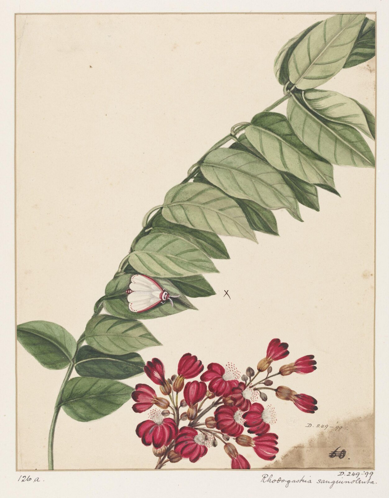 Drawing, early 19th century