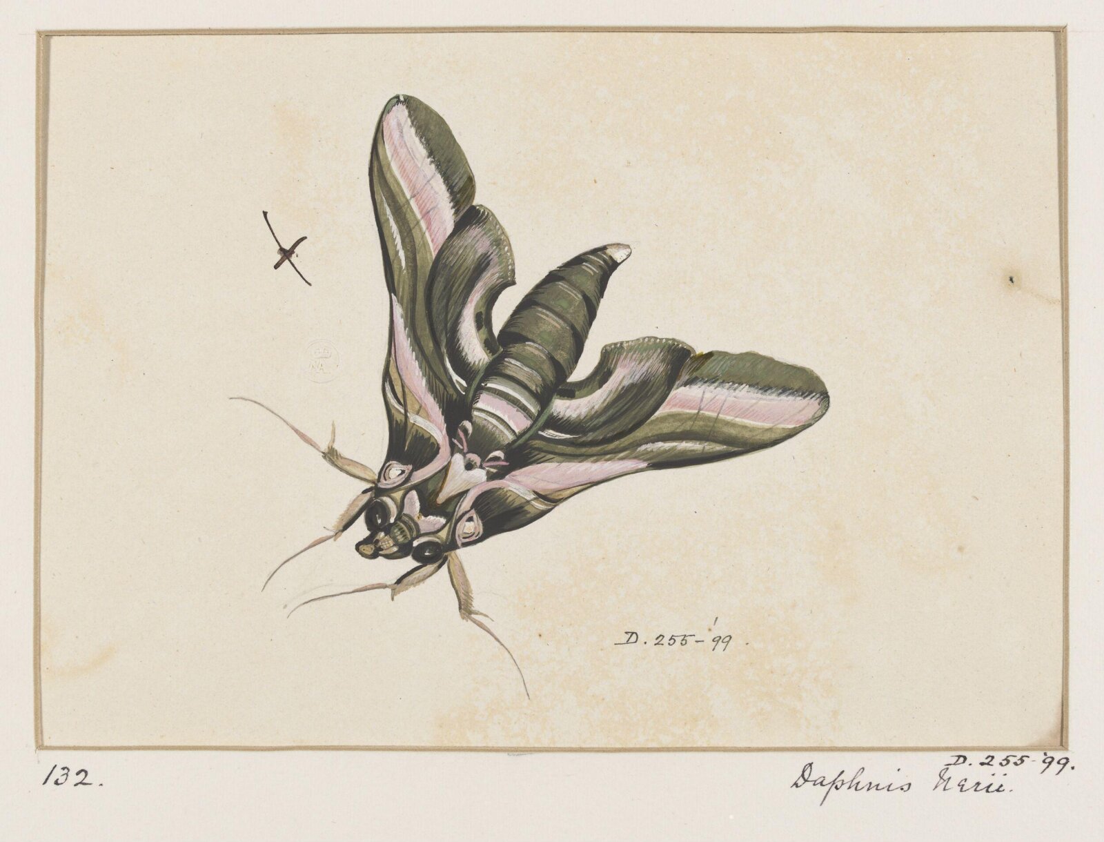 Drawing, early 19th century