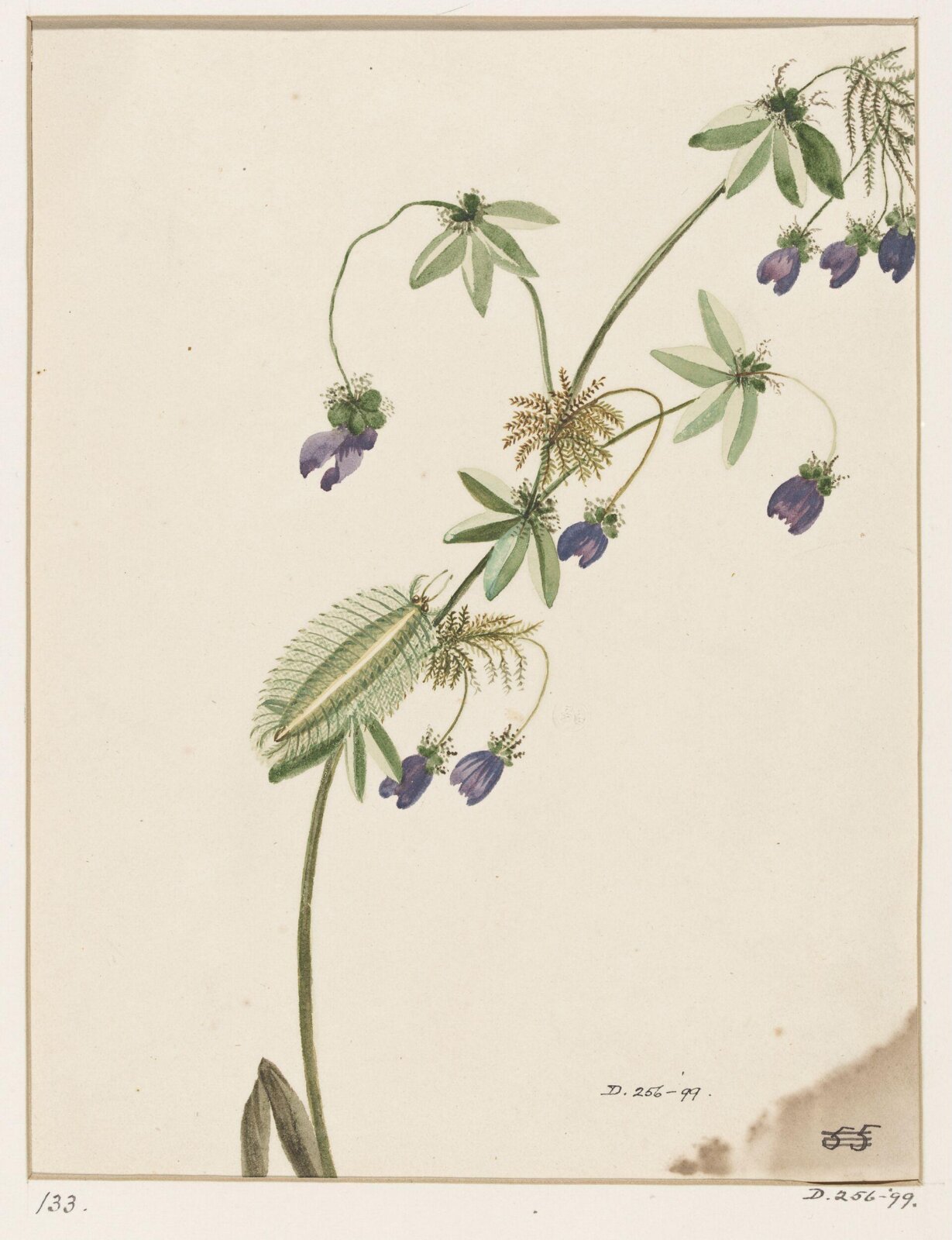 Drawing, early 19th century