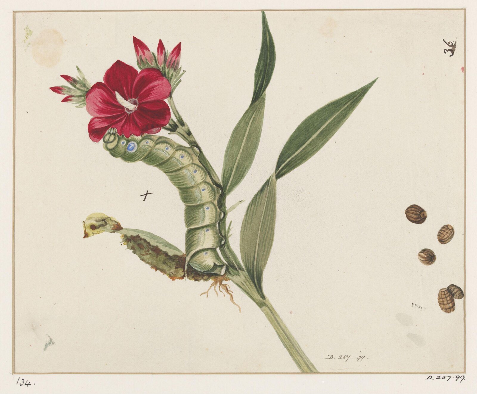 Drawing, early 19th century