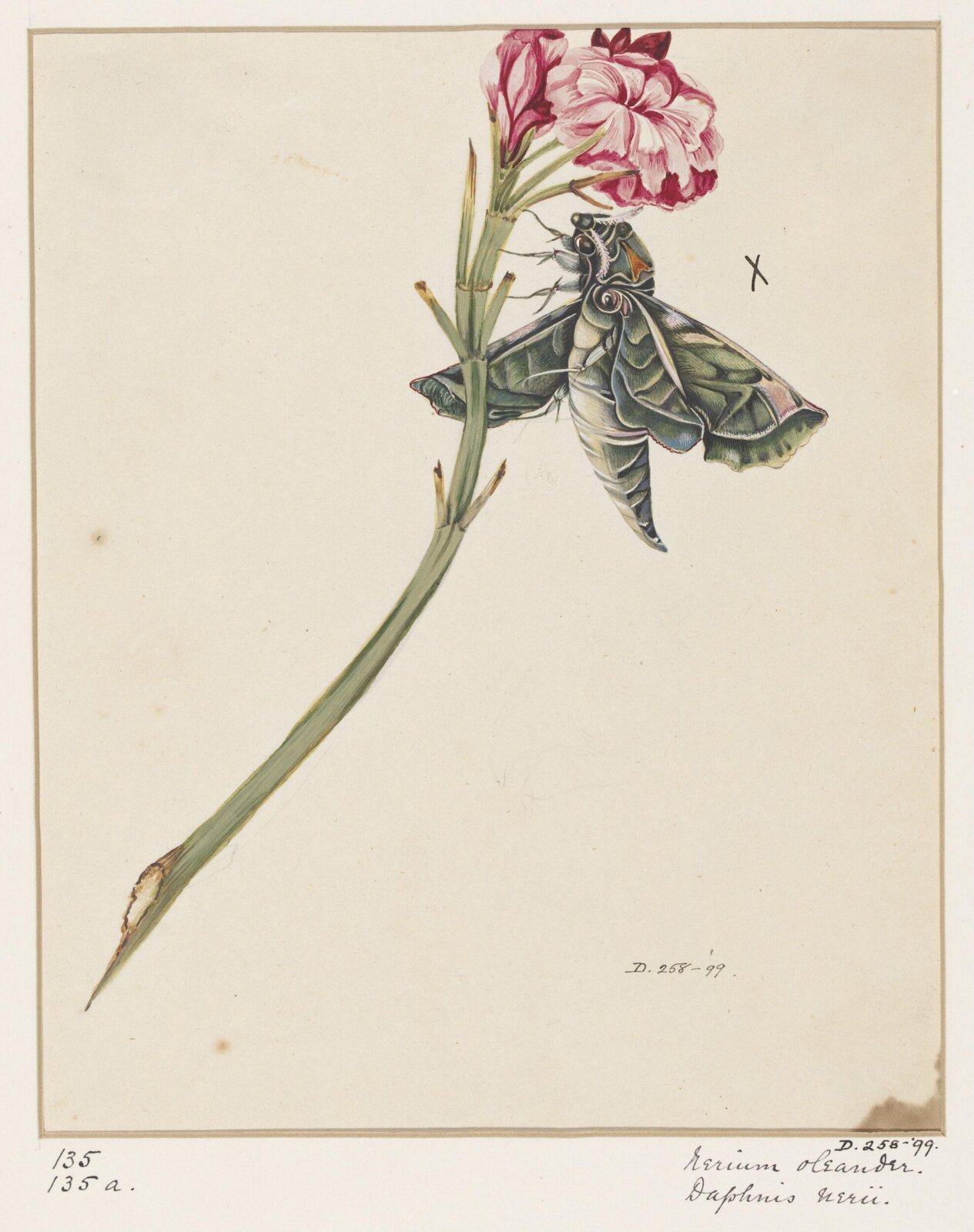 Drawing, early 19th century