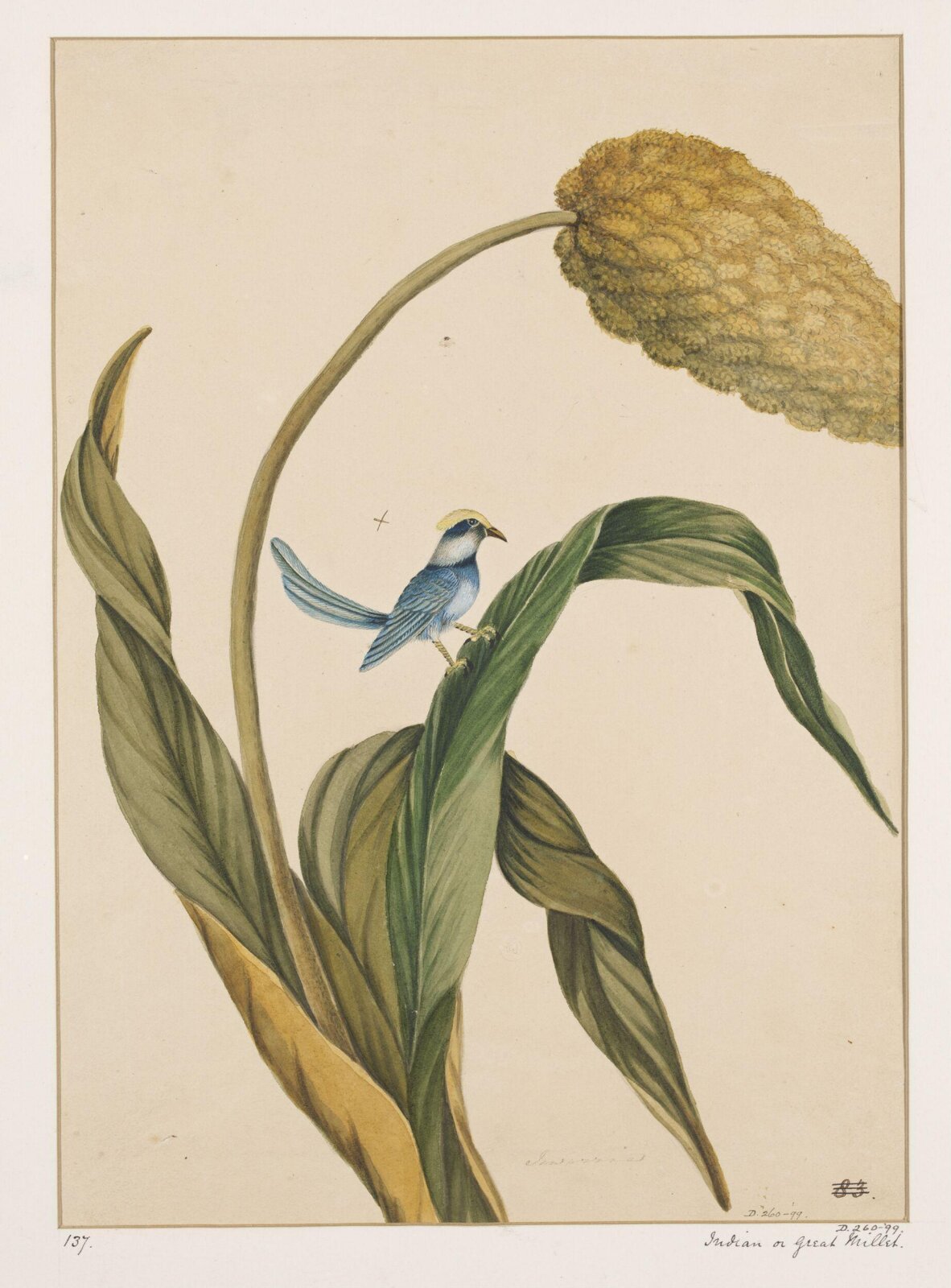Drawing, early 19th century
