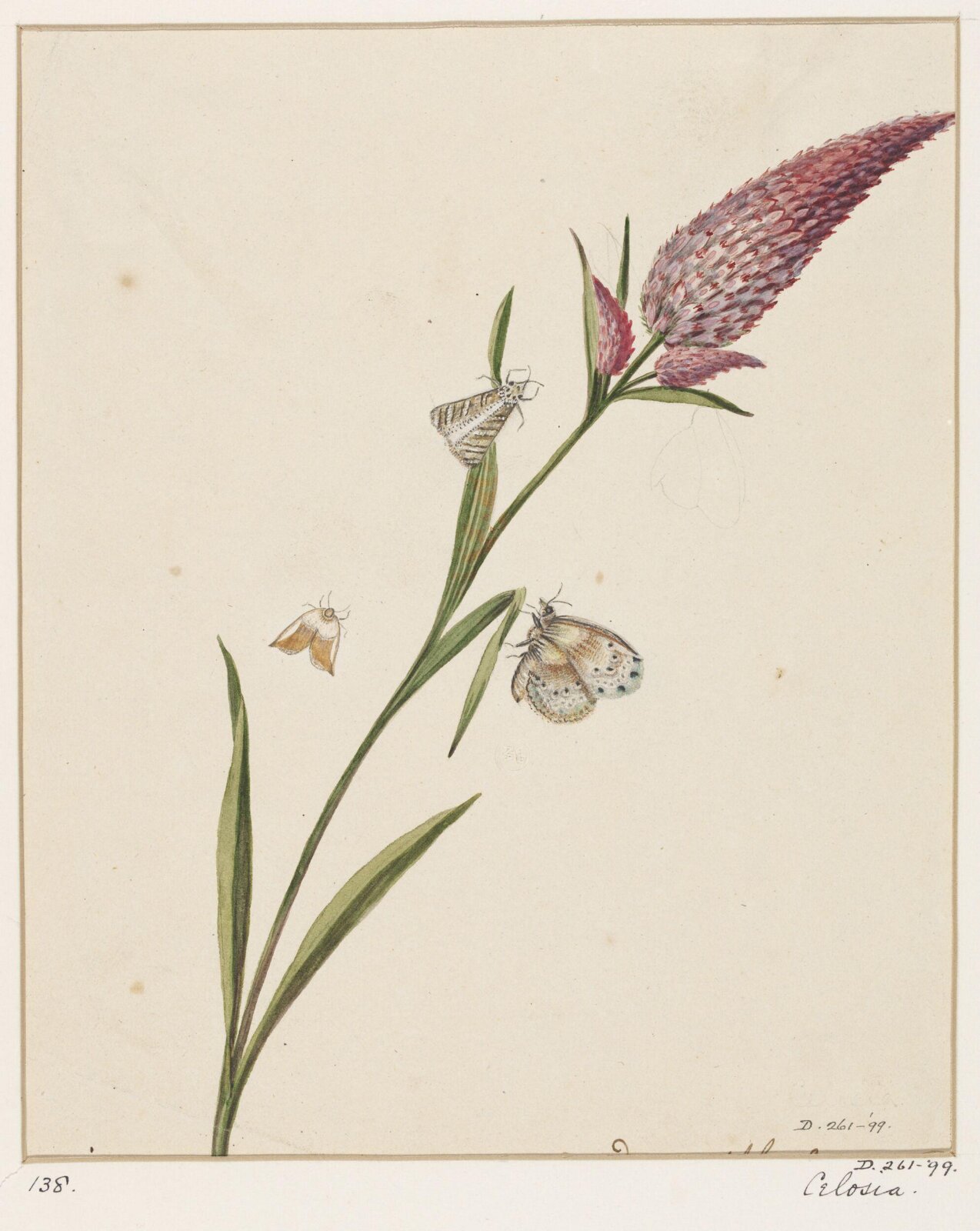 Drawing, early 19th century