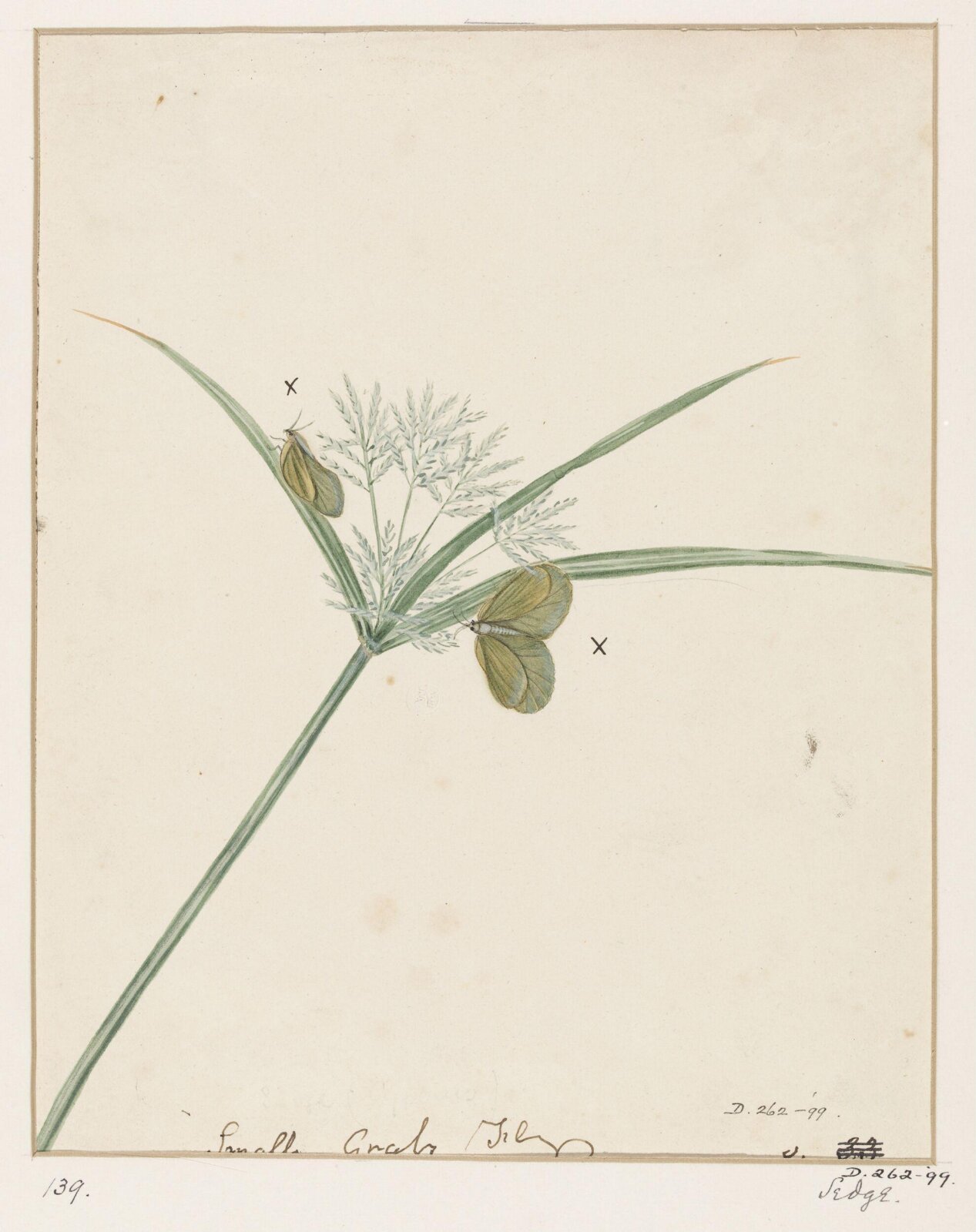Drawing, early 19th century