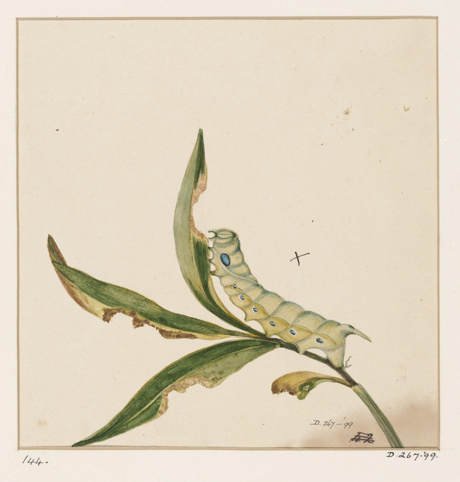 Drawing, early 19th century