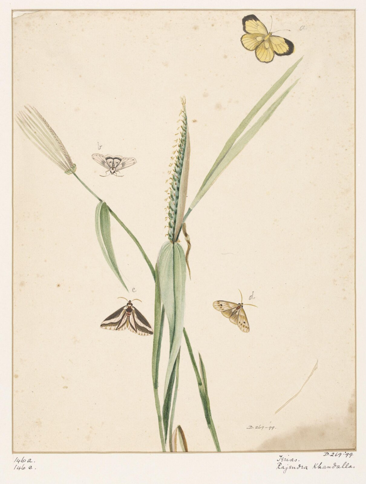Drawing, early 19th century