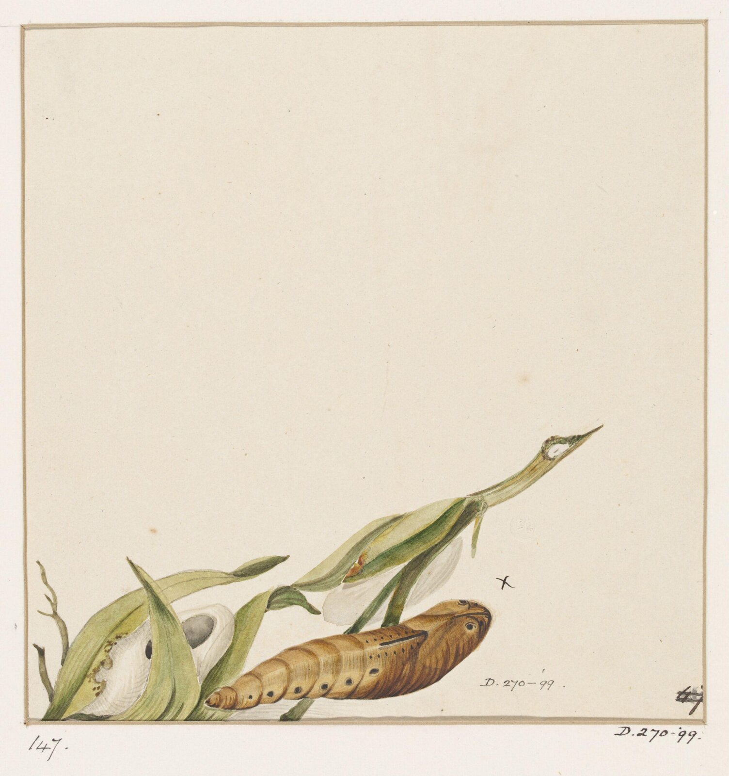 Drawing, early 19th century