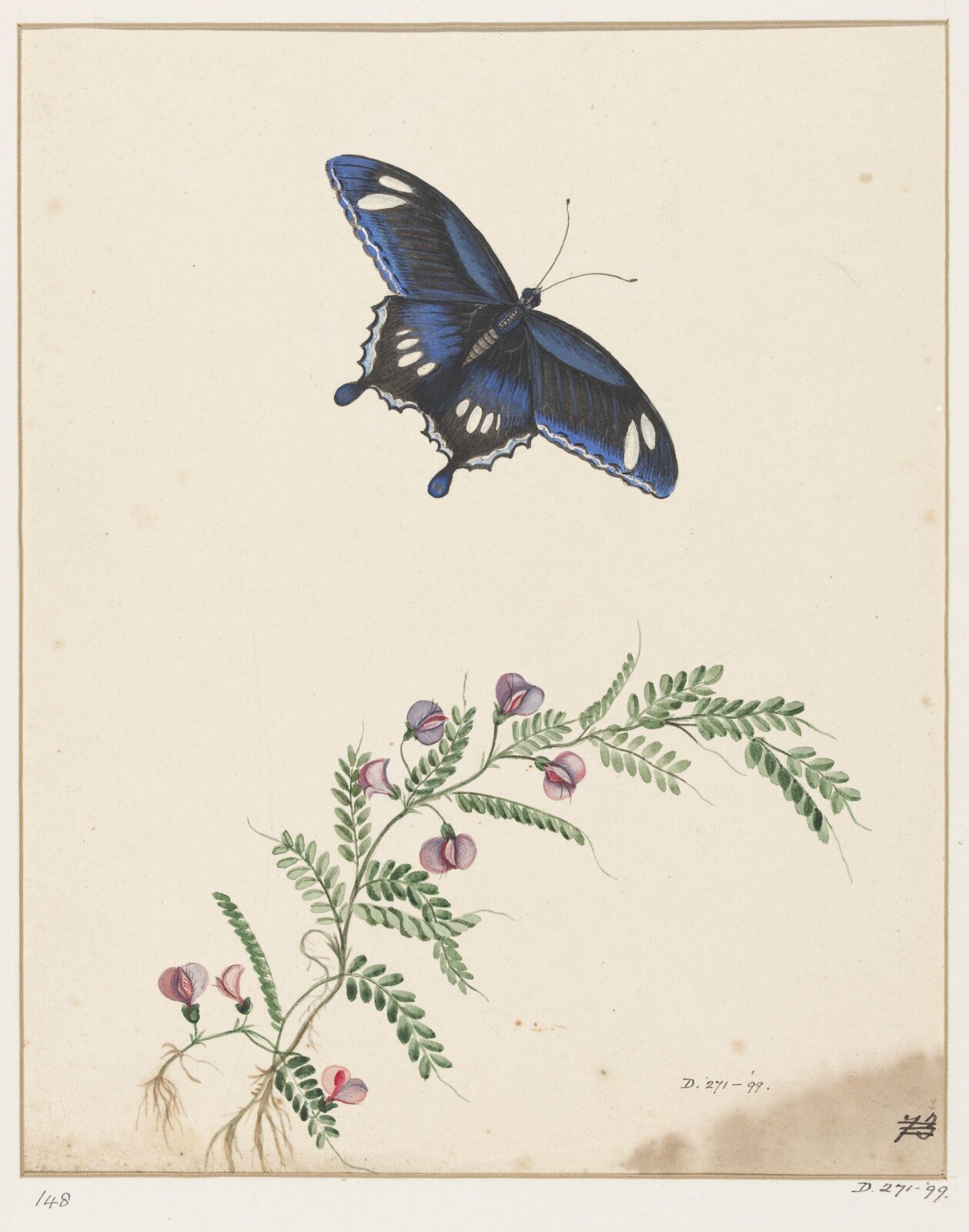 Drawing, early 19th century