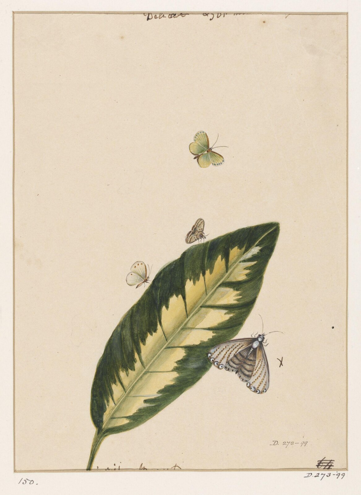 Drawing, early 19th century