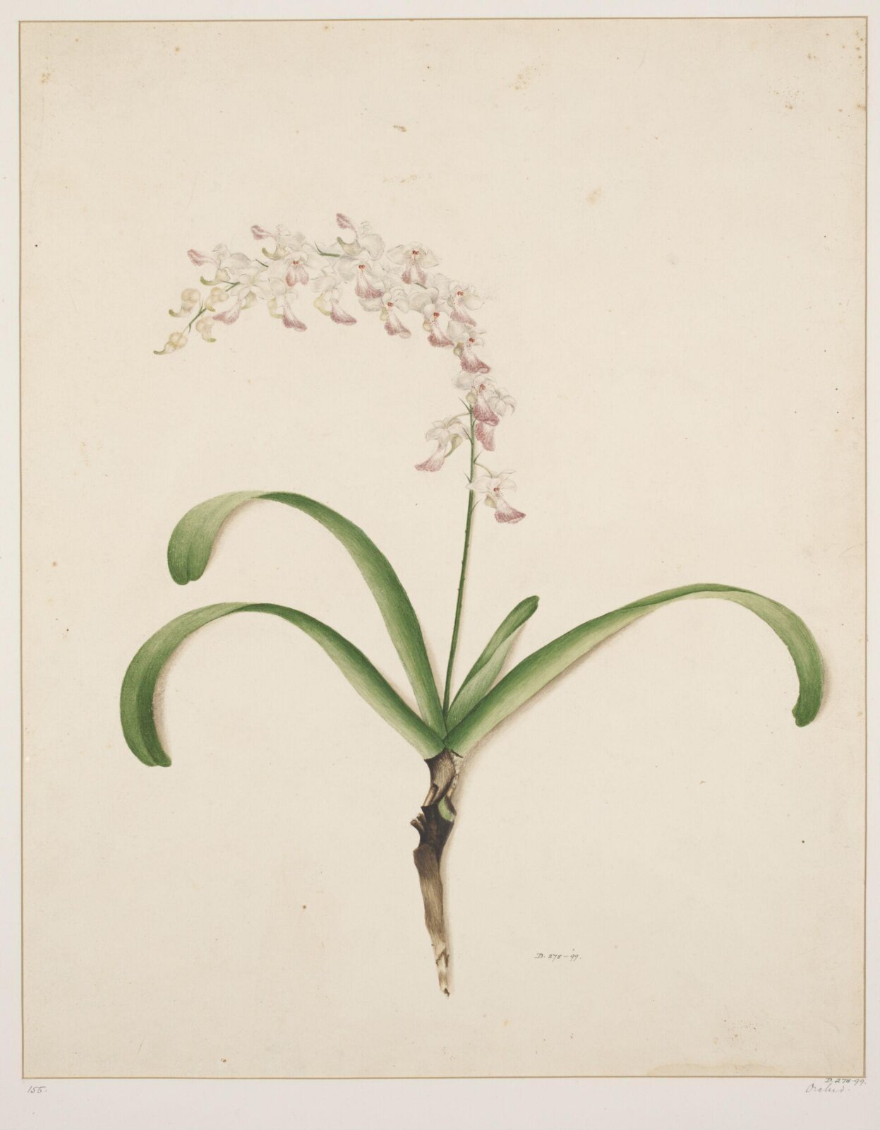 Drawing, early 19th century