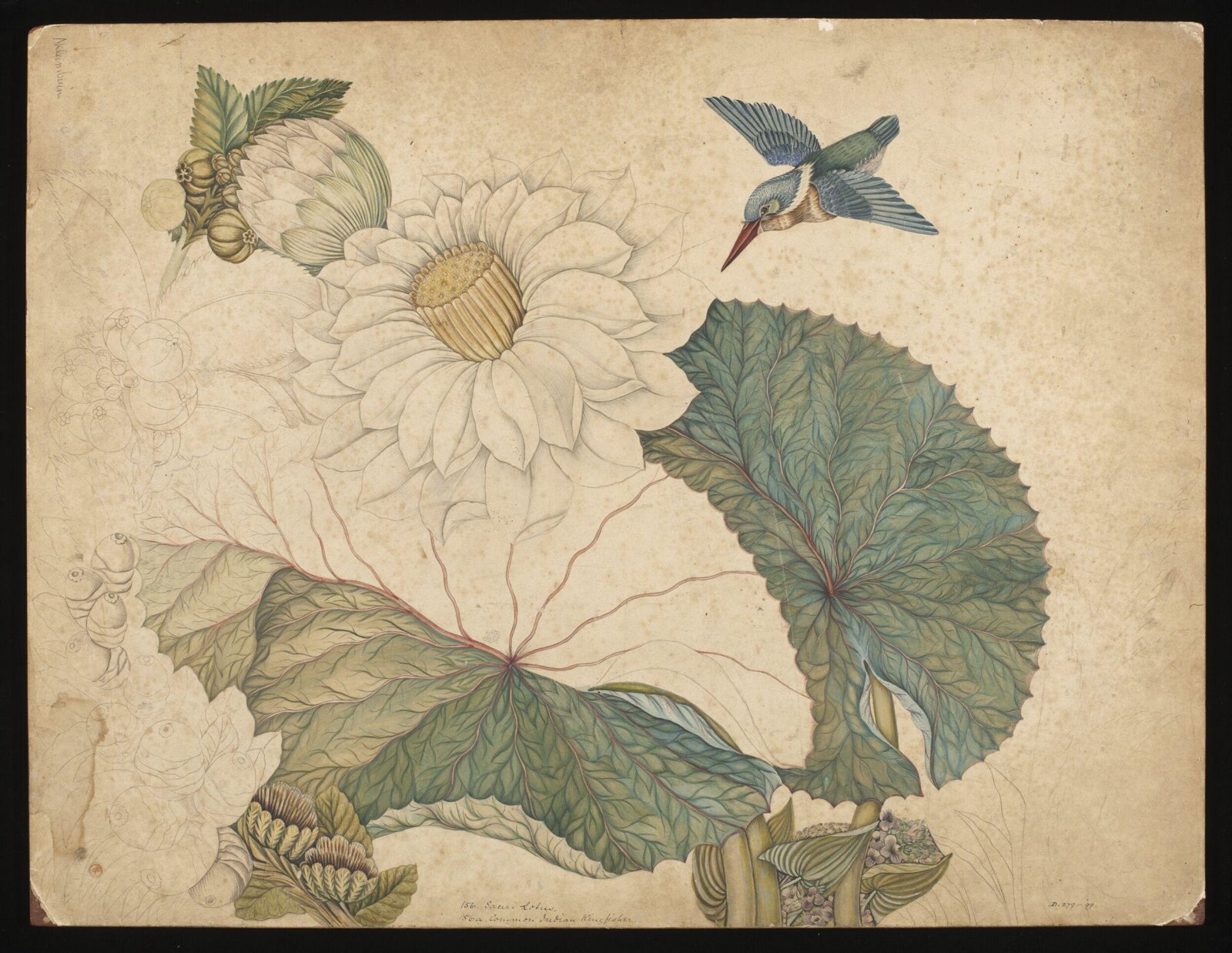 Drawing, early 19th century