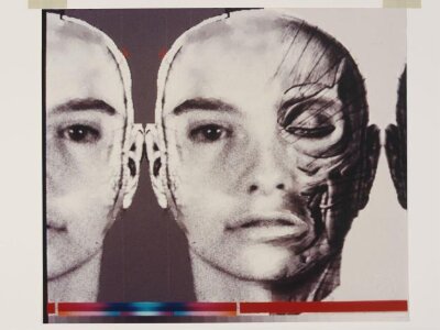 Untitled (Stella), from The Library of Human Hard Copy