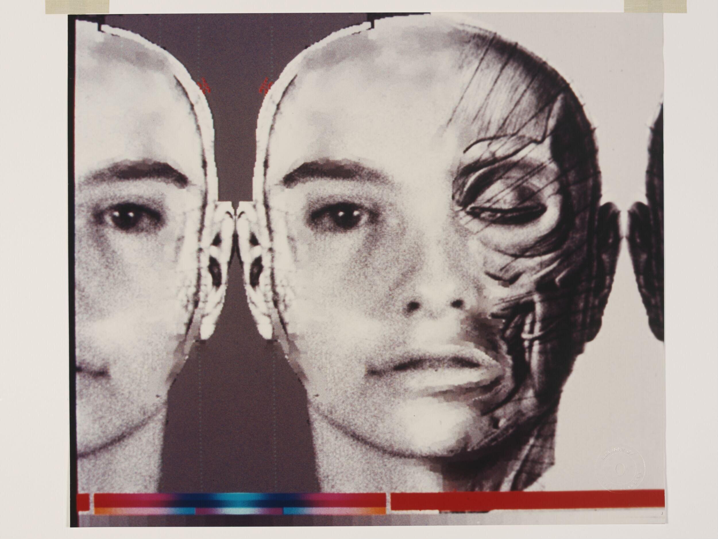 Untitled (Stella), from The Library of Human Hard Copy