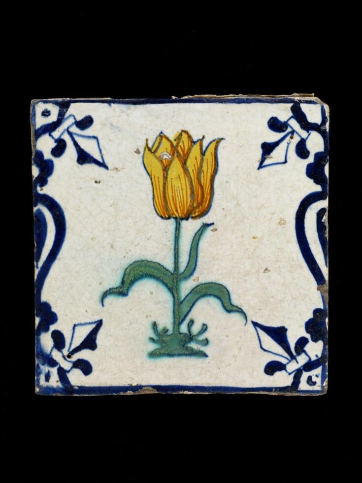 Tile top image