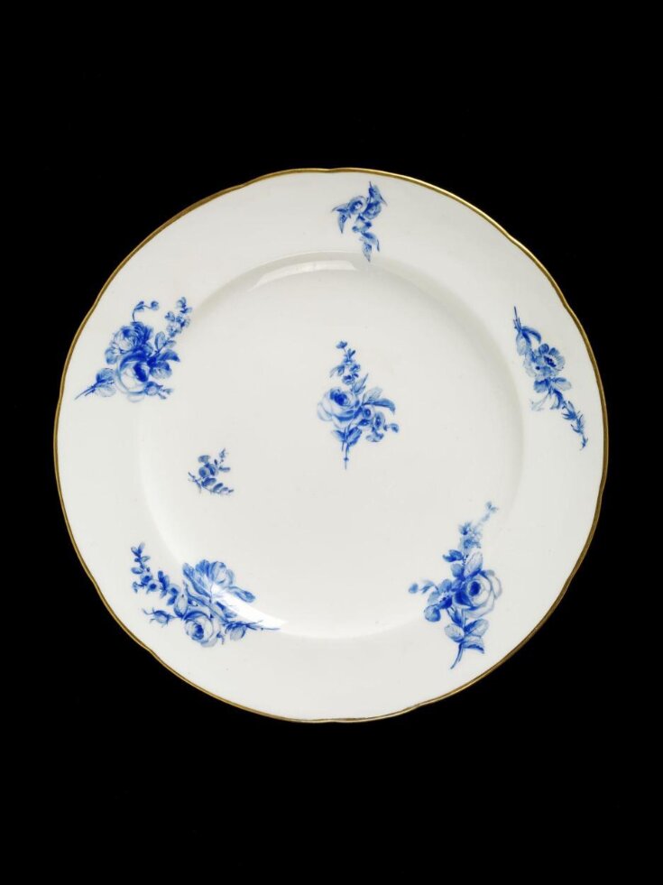 Dinner Plate top image