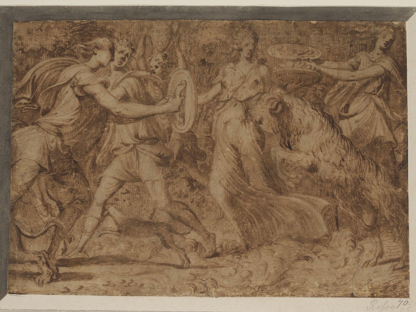Rosso Fiorentino, Drawing