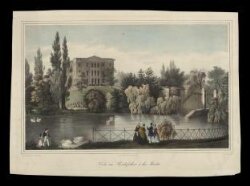 H Beard Print Collection