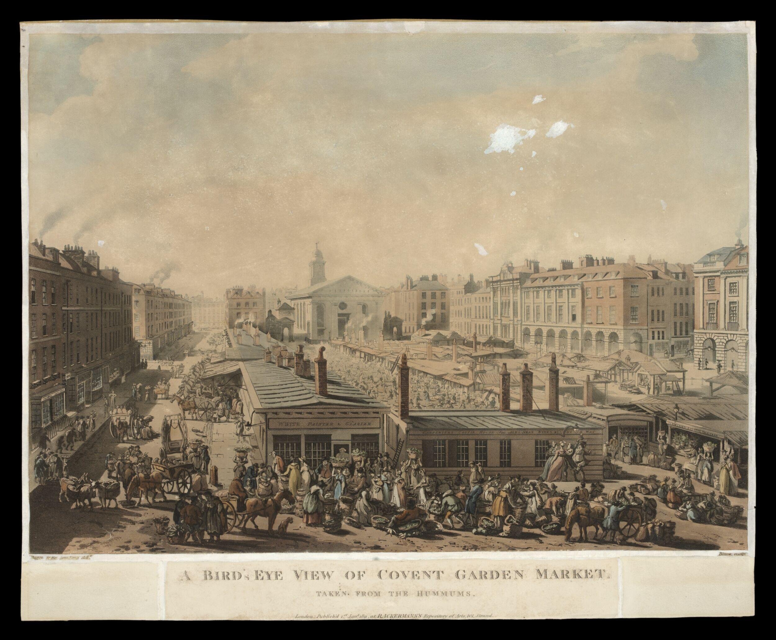 H Beard Print Collection
