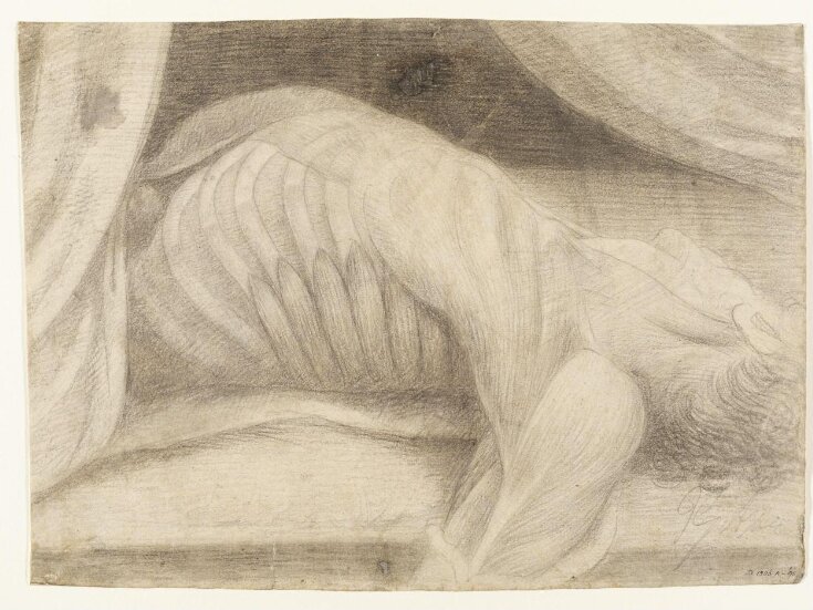 Half-length anatomical study of a man, drawn from a dissected corpse top image