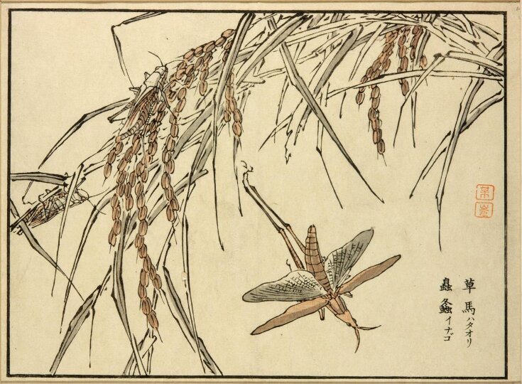 Woodblock Print top image