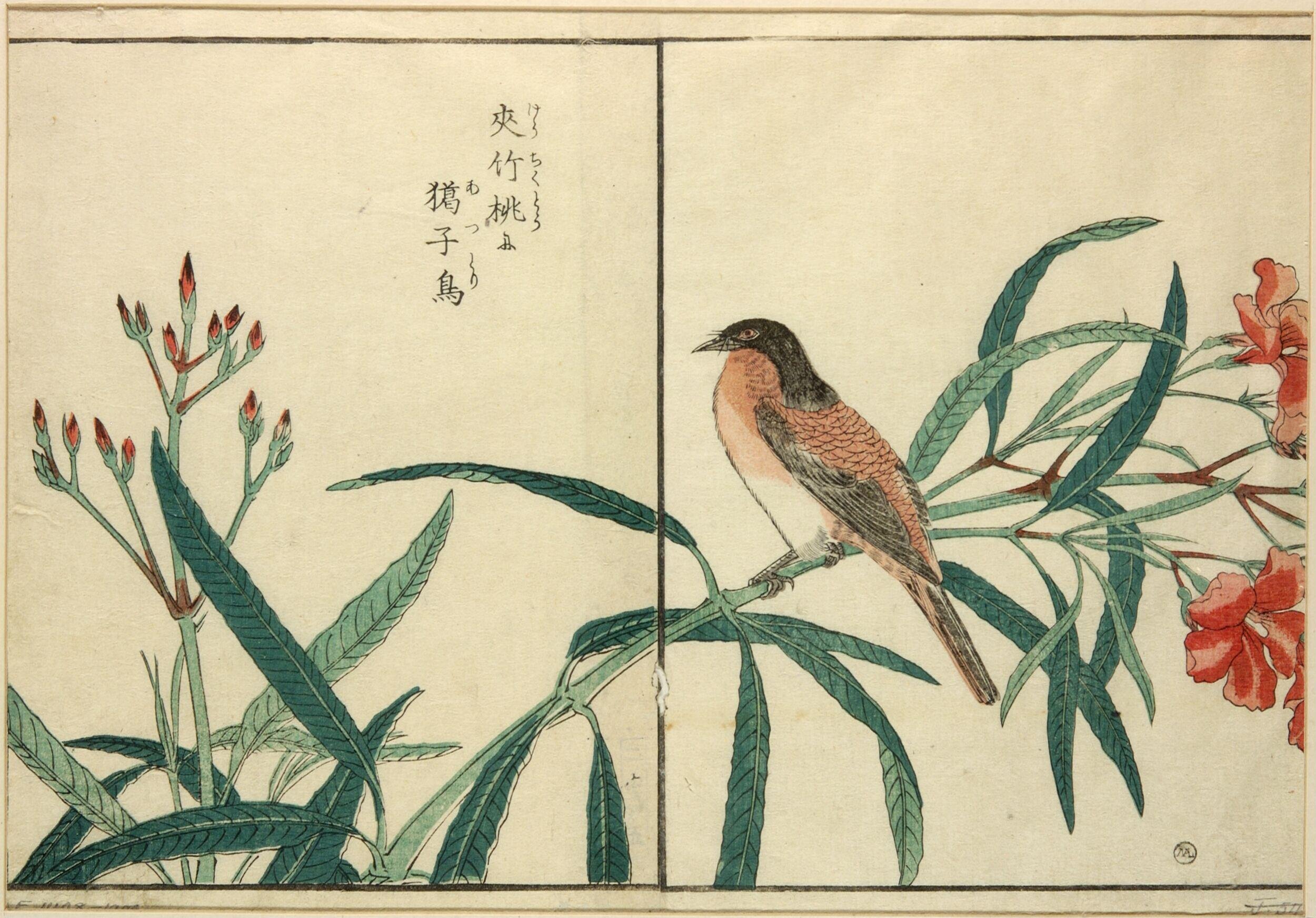 Untitled by Kitao Masayoshi