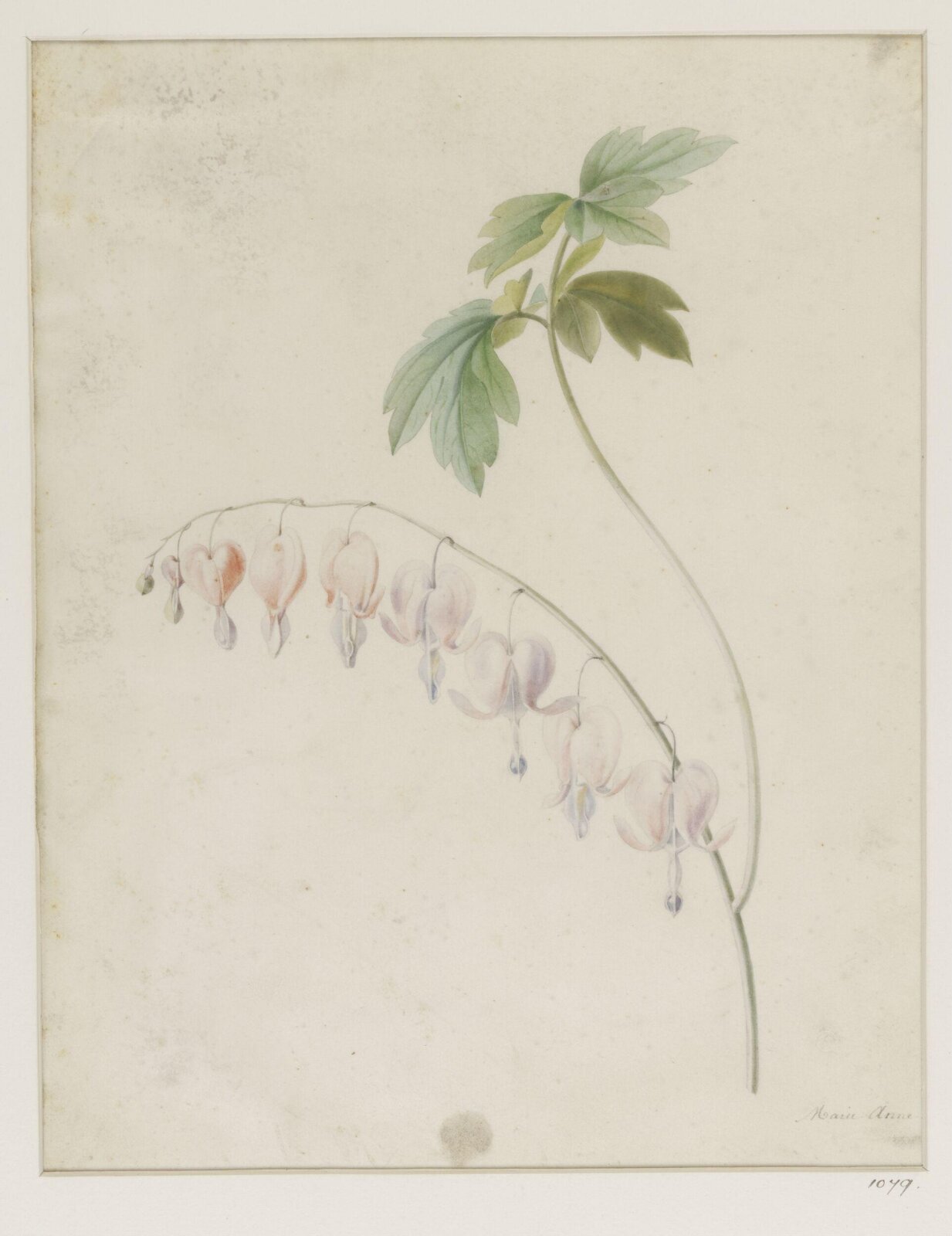 Drawing, ca. 1850