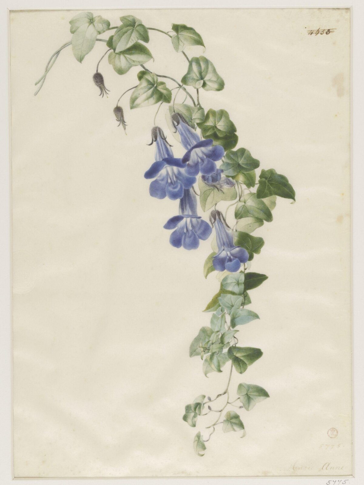 Drawing, ca. 1850