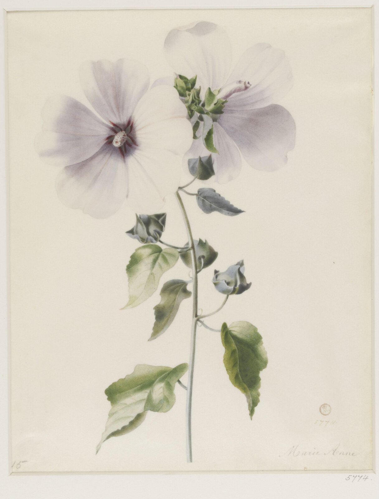 Drawing, ca. 1850
