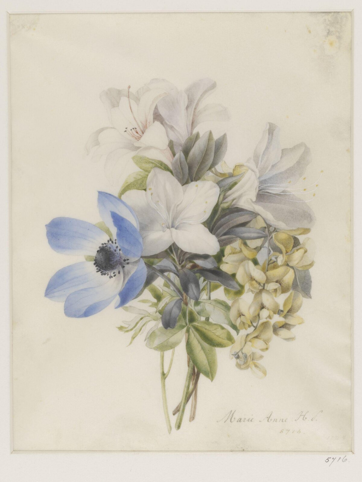 Drawing, ca. 1850