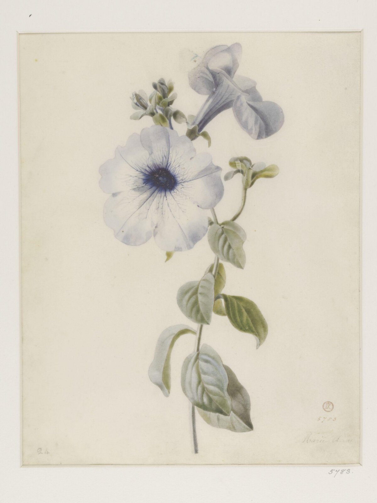 Drawing, ca. 1850