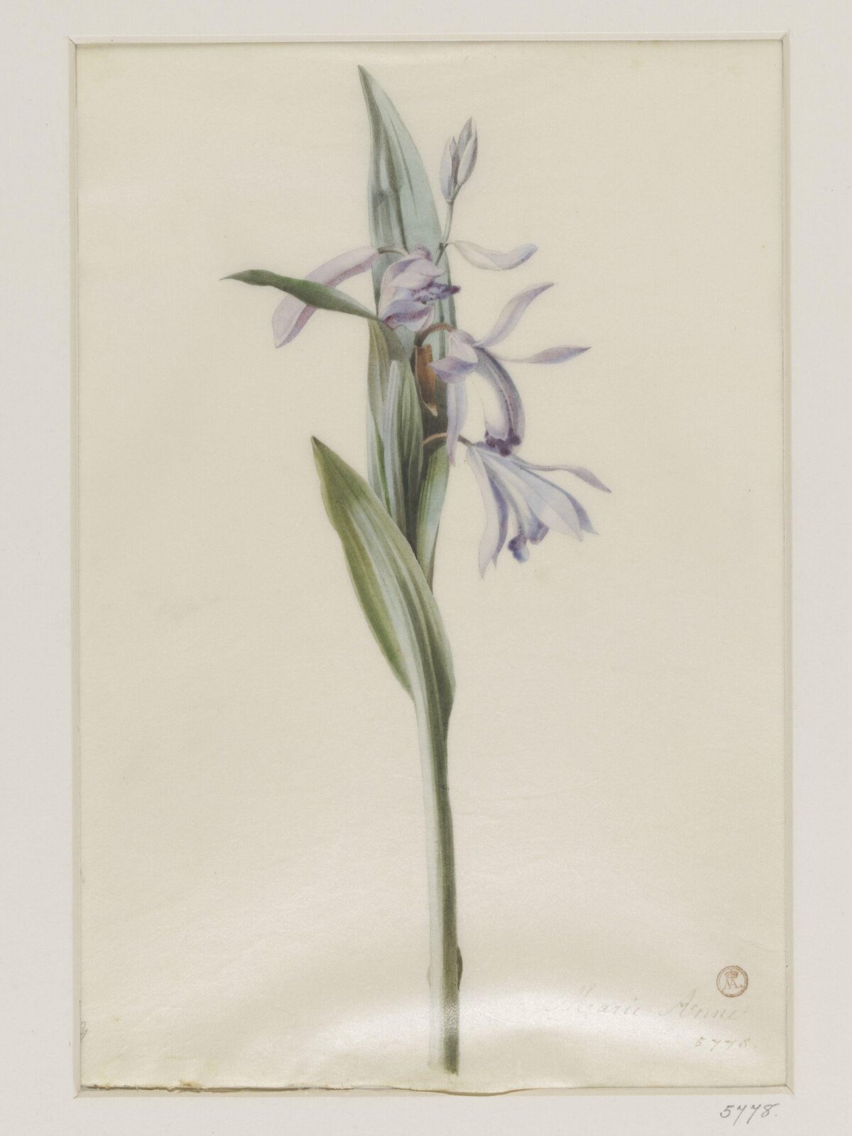 Drawing, ca. 1850