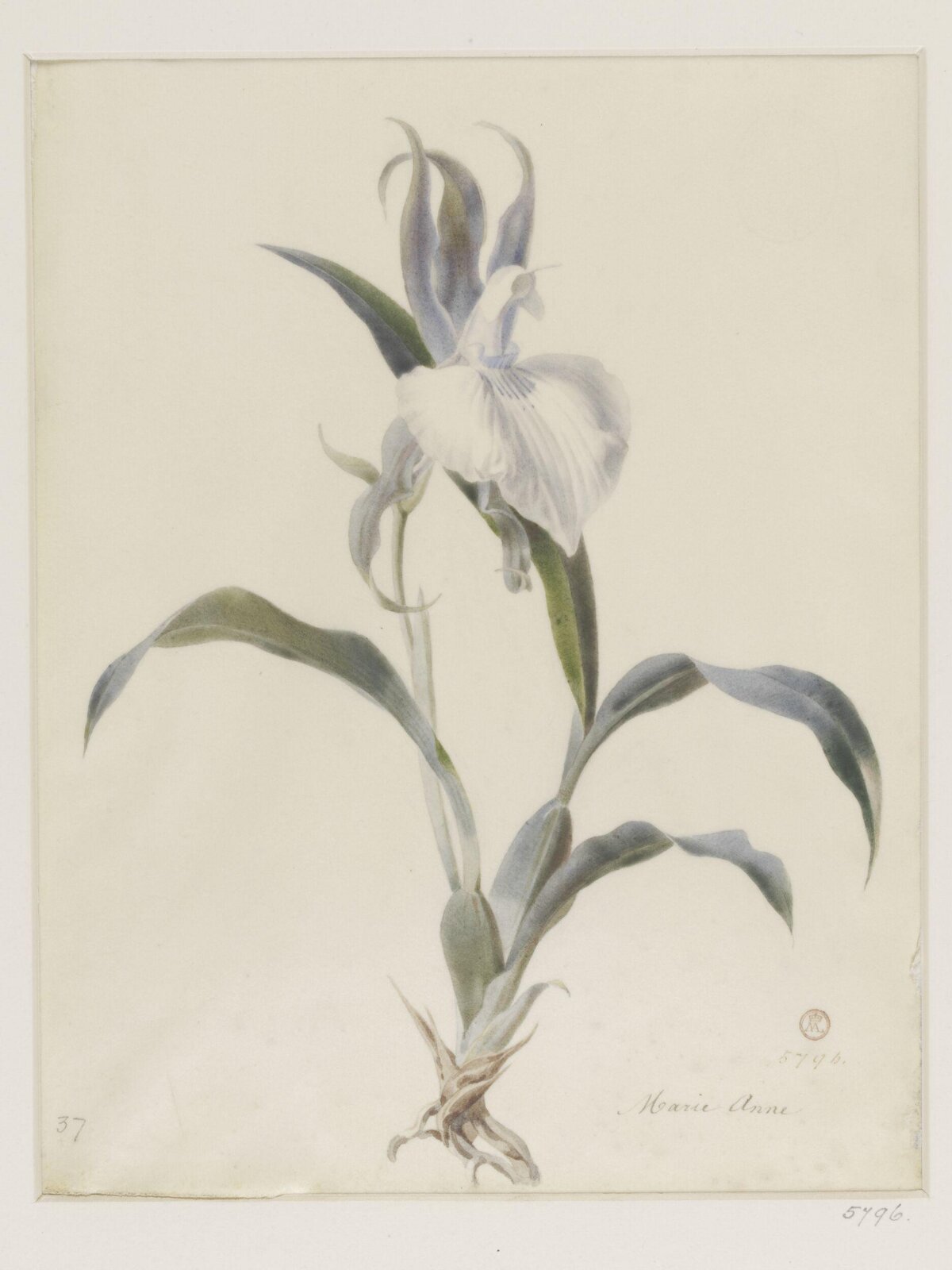 Drawing, ca. 1850