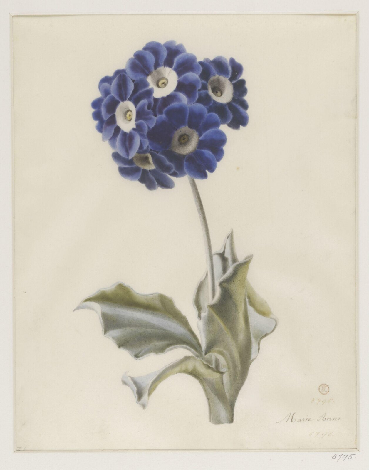 Drawing, ca. 1850