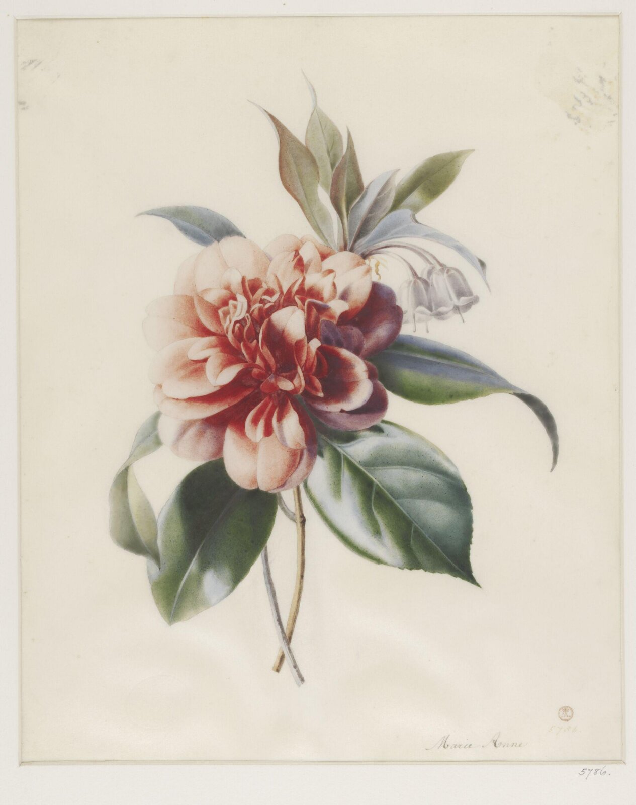 Drawing, ca. 1850