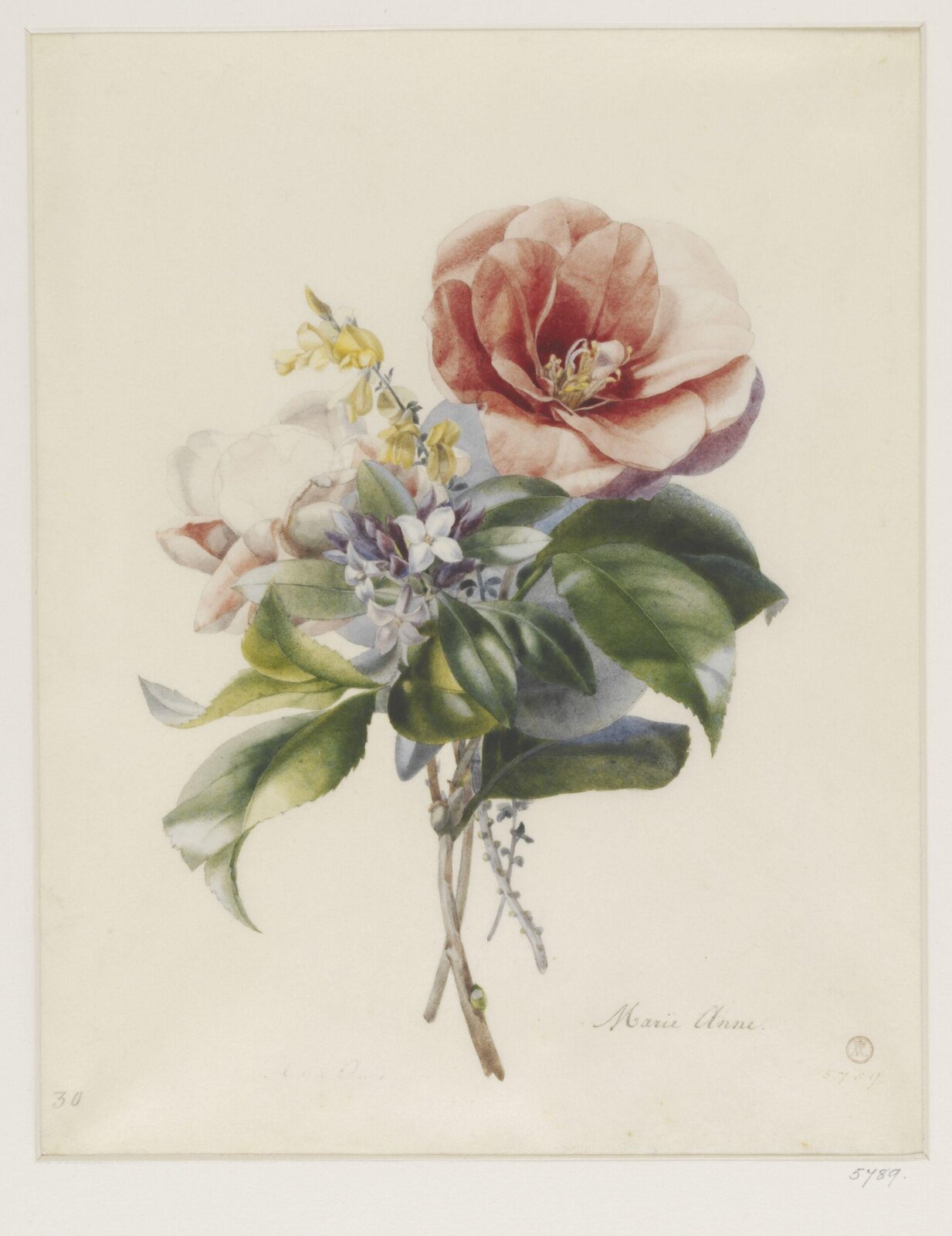 Drawing, ca. 1850