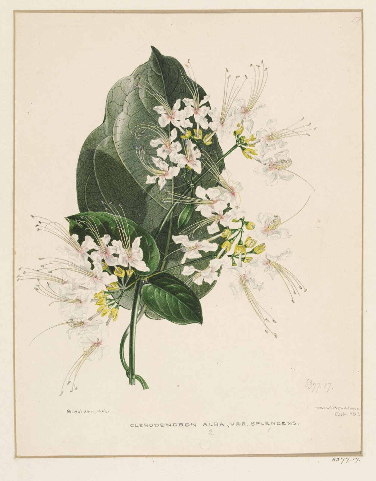 Drawing, Samuel Holden, 1842